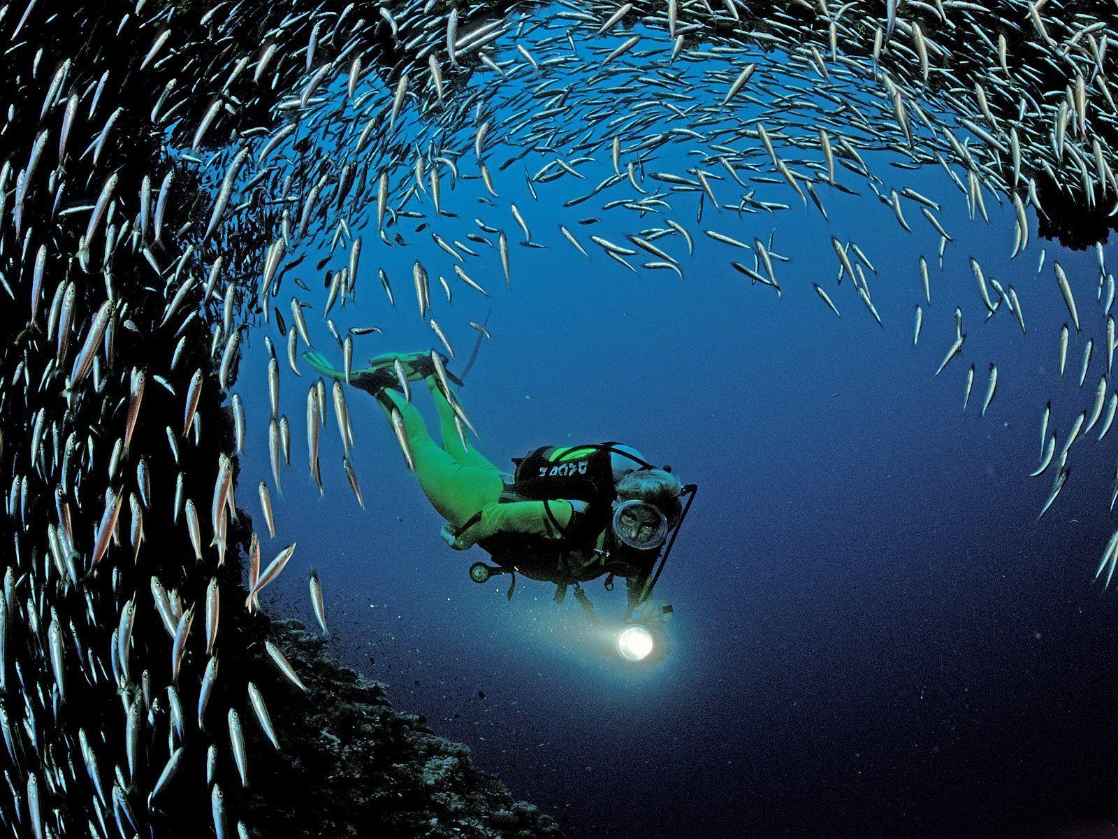 UNDERWATER PHOGRAPHY. Deep sea