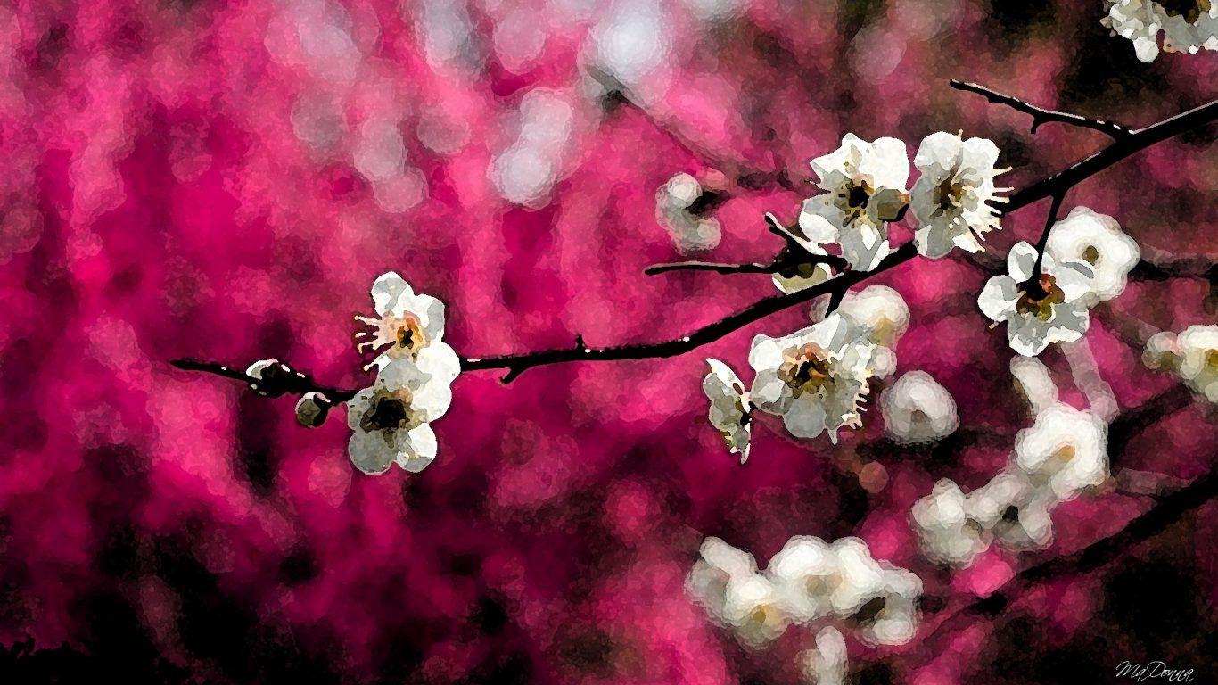 Flowers: Winter Flower Roses Flowers Desktop HD Wallpaper for HD