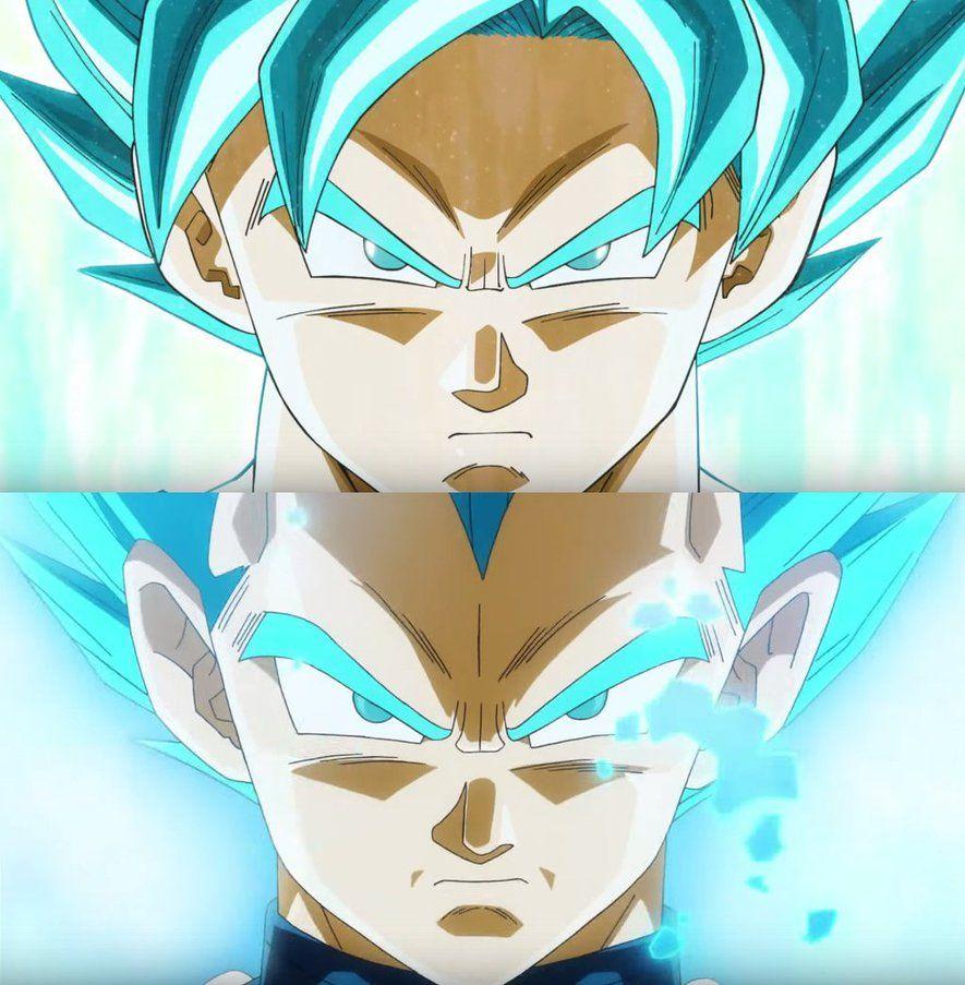 Dragon Ball Z: Super Saiyan God SS Goku and Vegeta