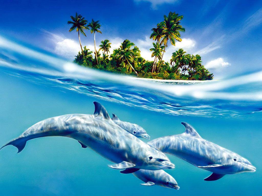 blue dolphins drawing. dolphines. Dolphin drawing