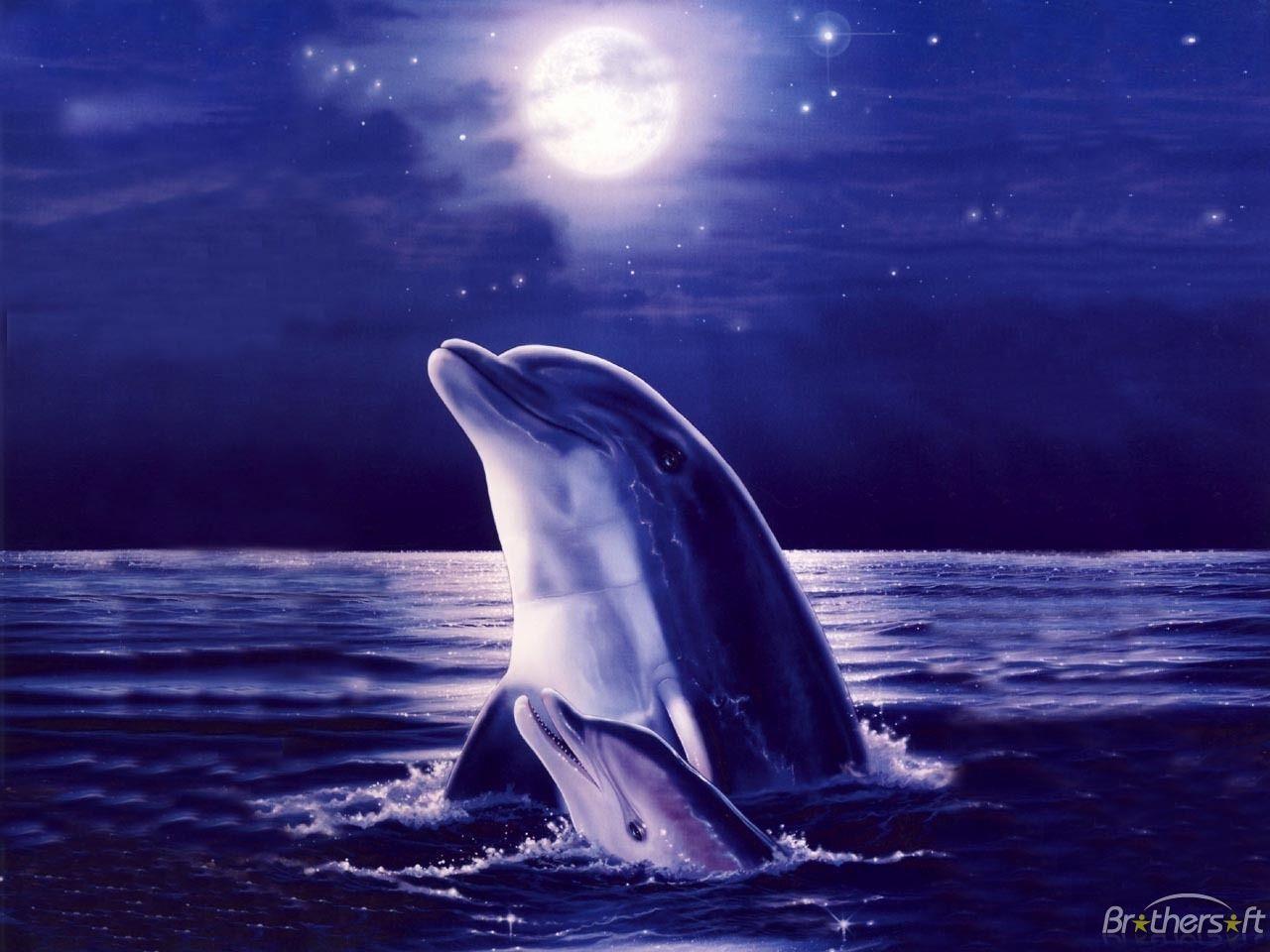 Free 3D Desktop. Download Free MOONLIGHT DOLPHINS