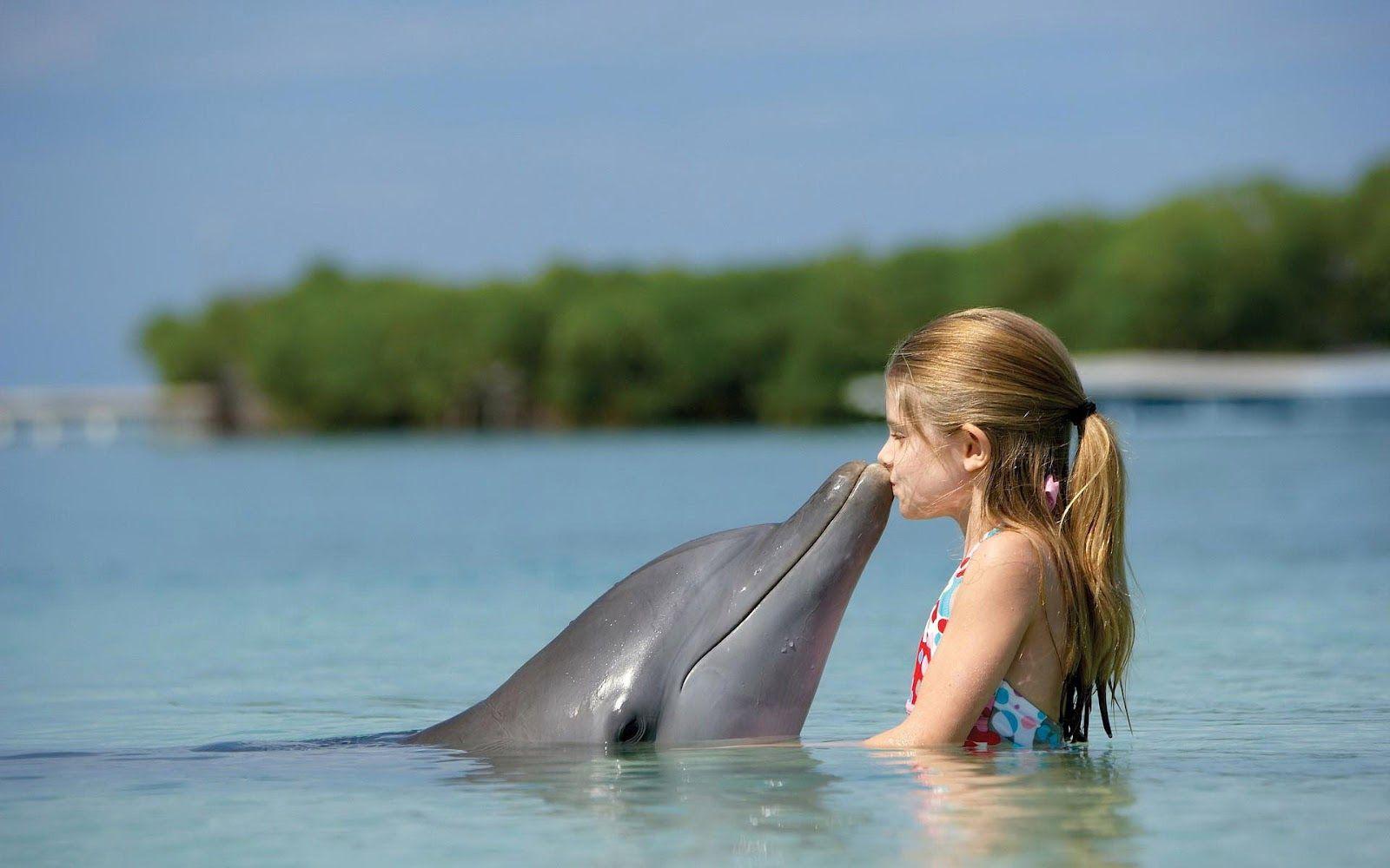 Picture of dolphin kissing little girl. HD Animals Wallpaper