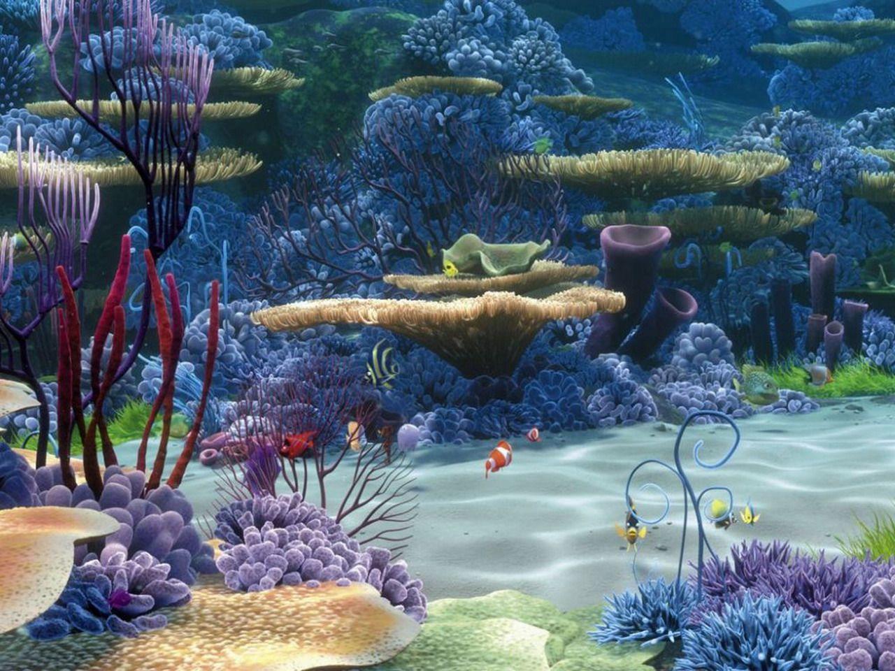 Underwater world Corals Animals