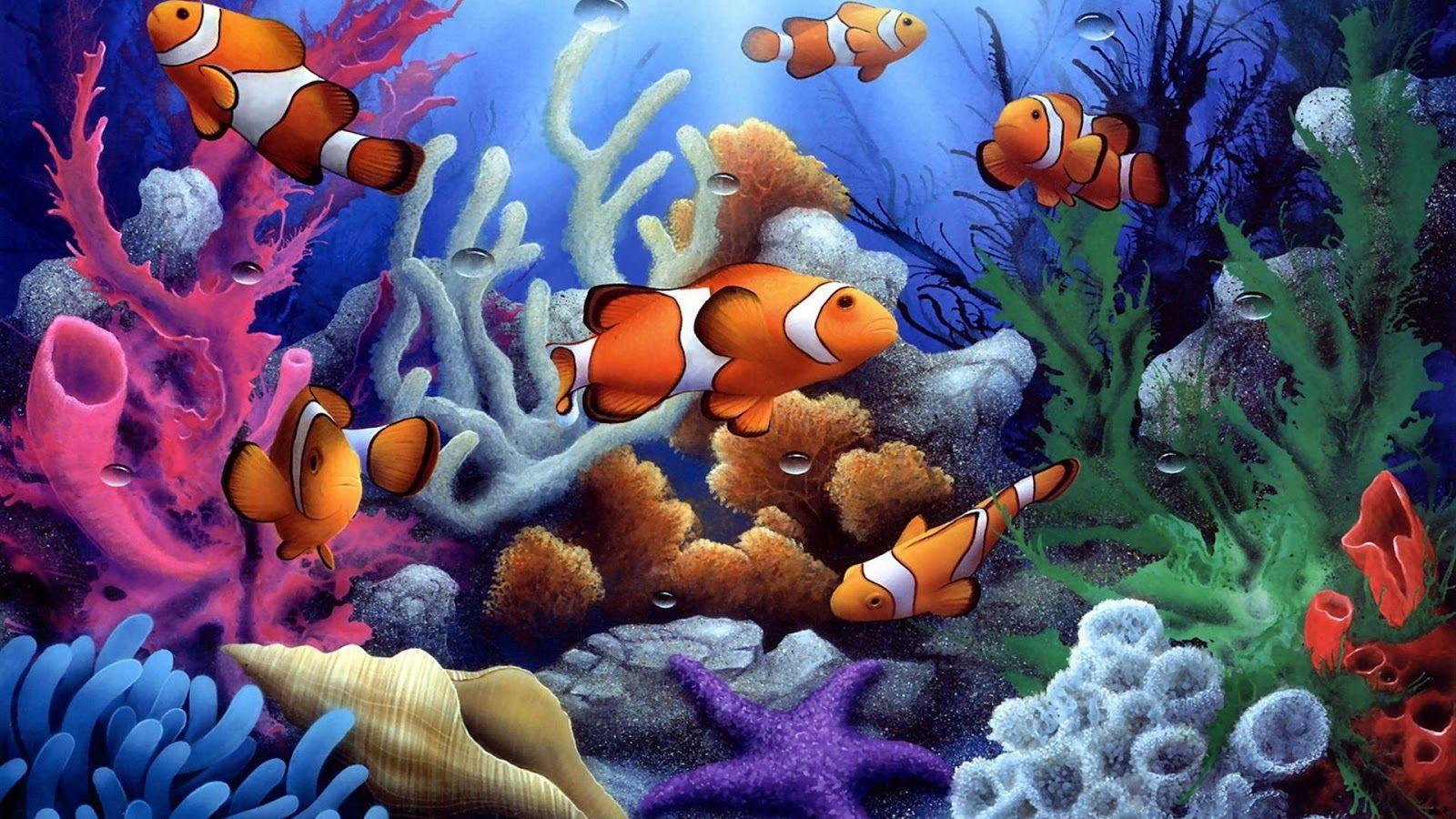 Coral Wallpaper Apps on Google Play