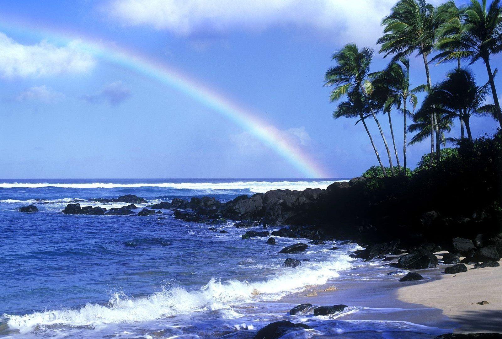 Shore North Coastline Oahu Rainbow Hawaii Beautiful HD Wallpaper