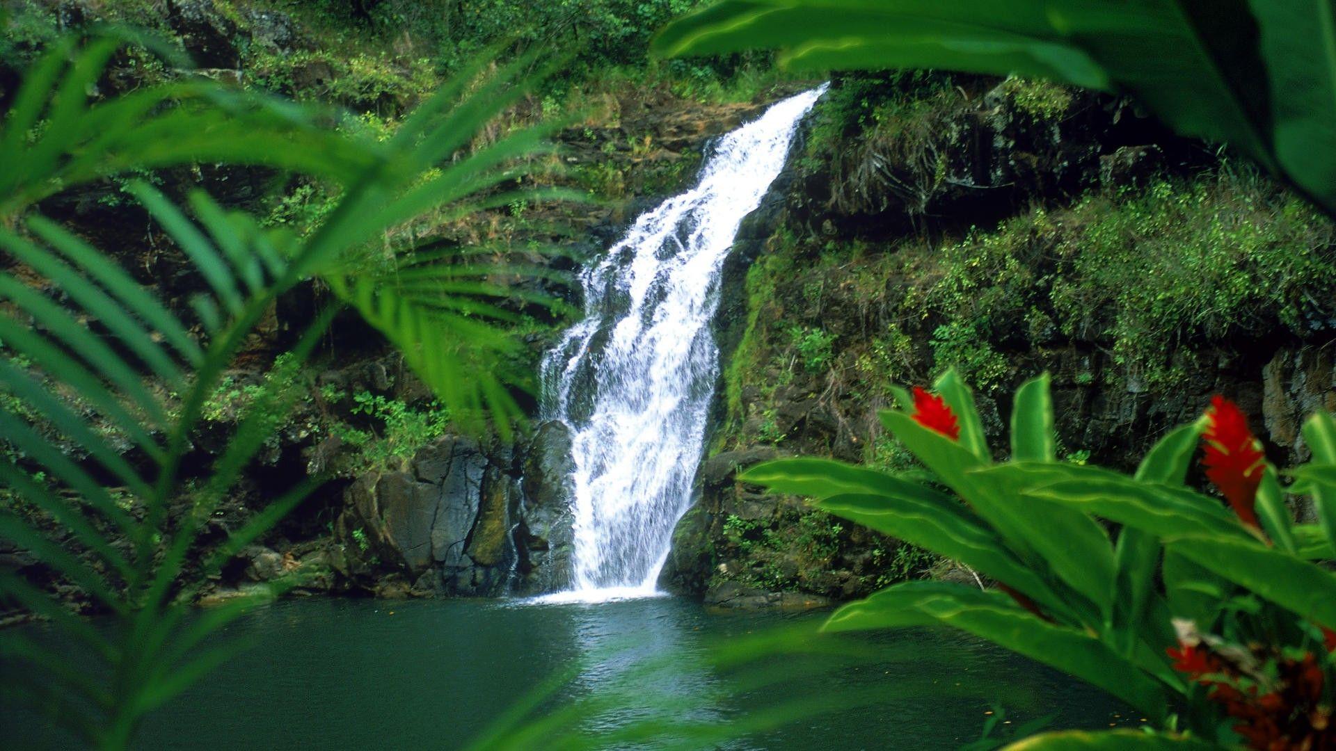 Hawaii falls waterfalls Oahu wallpaperx1080