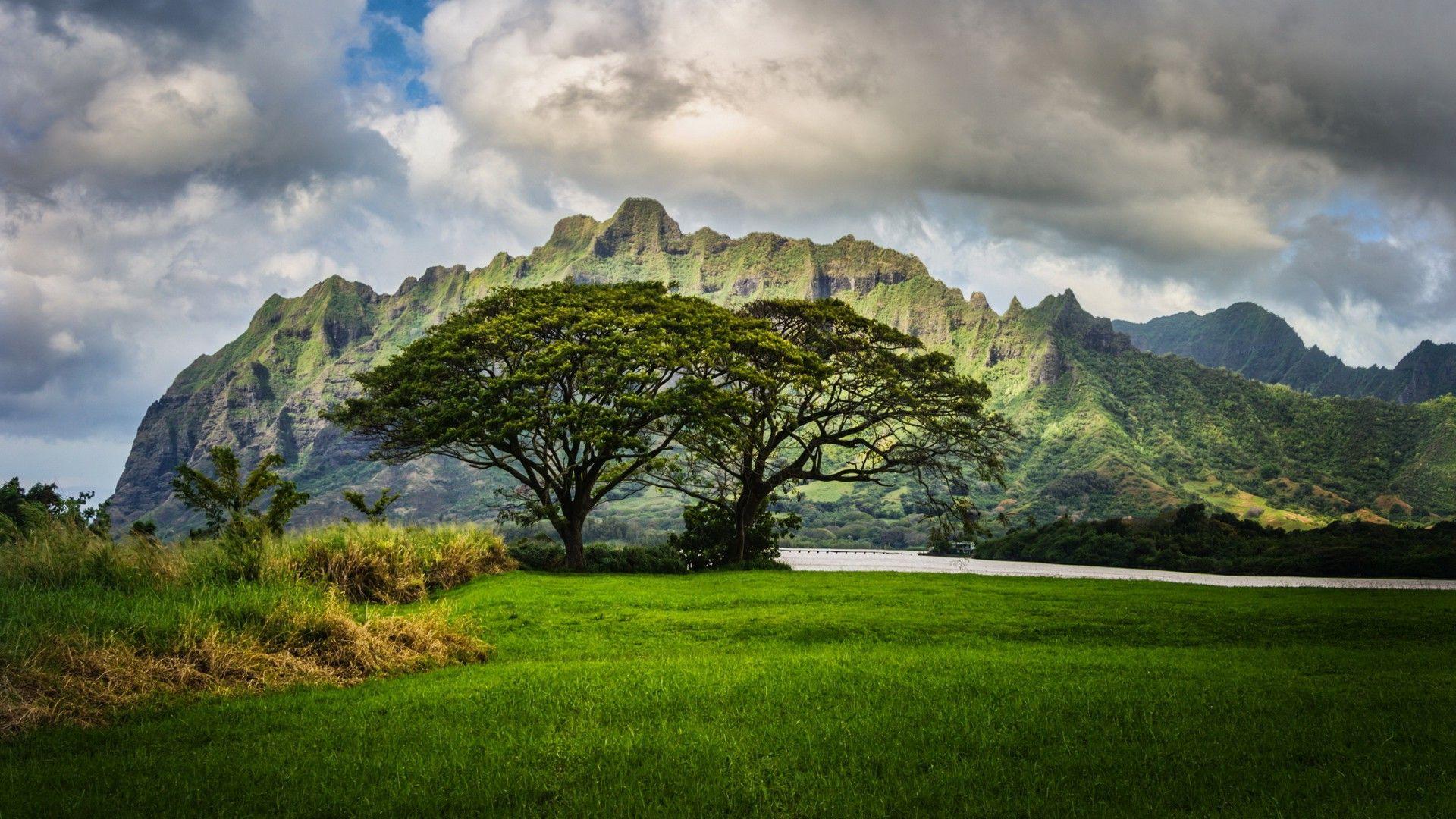 nature, HDR, Landscape, Hawaii Wallpaper HD / Desktop and Mobile
