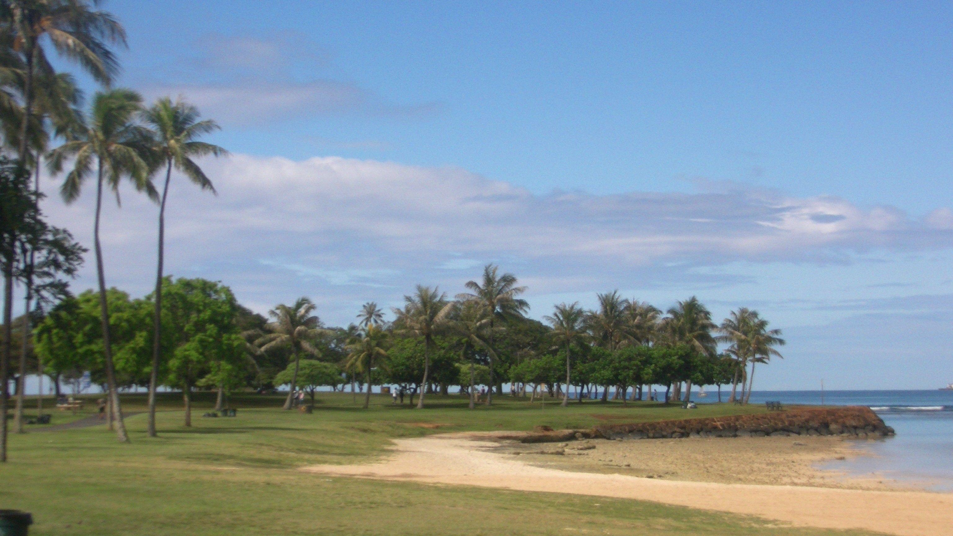 Beaches: Beach Park Pod Moana Palmtree Island Tree Ala Monkey Oahu