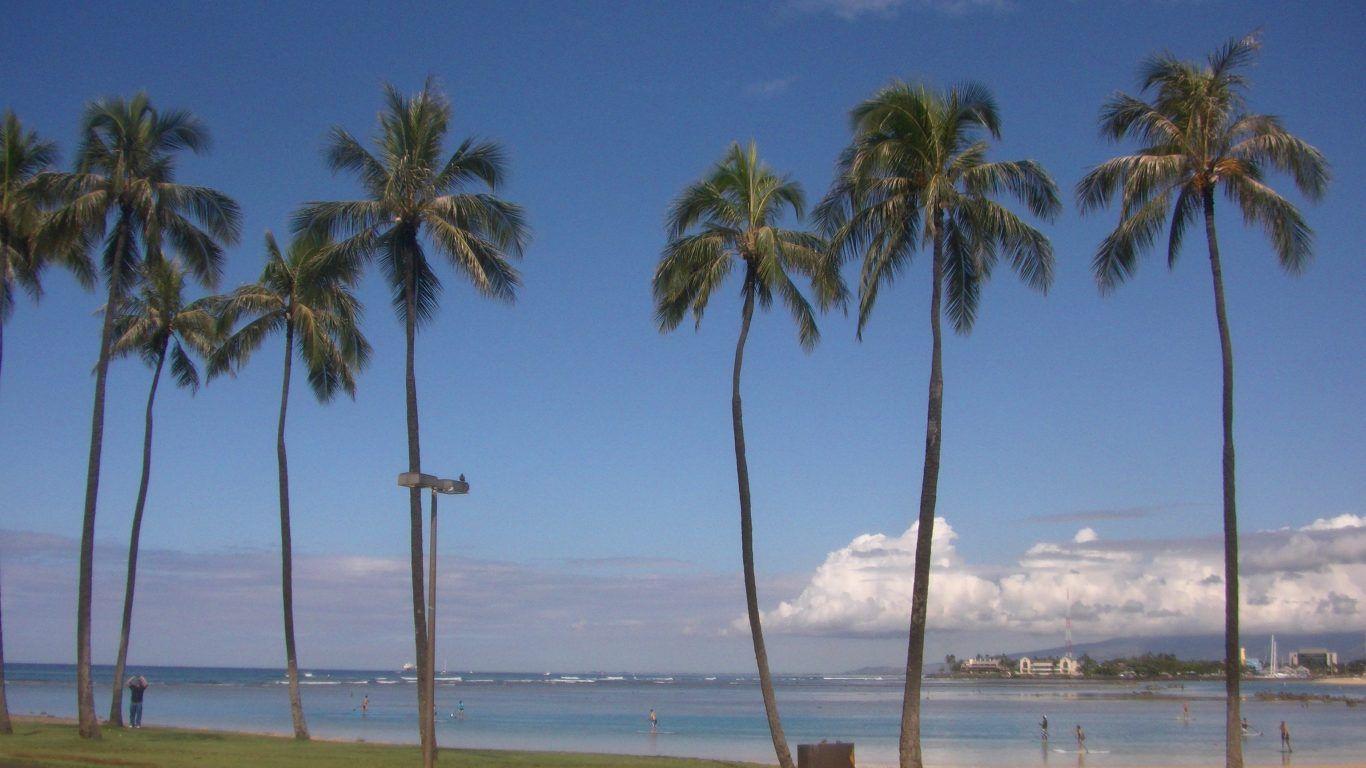 Beaches: Ala Moana Beach Park Ocean Island Palmtree Oahu Hawaii