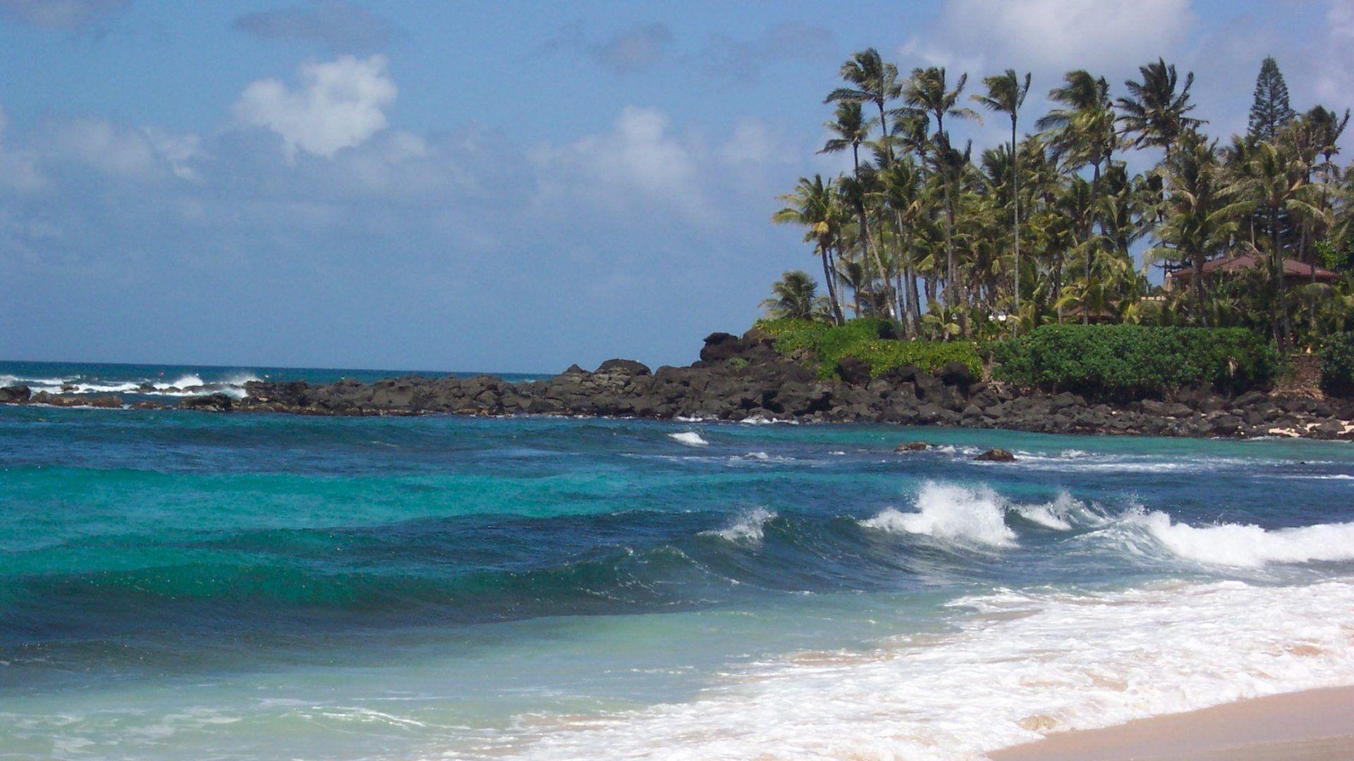 Beaches: Nature Oahu Beaches Turtle Beach Oceans Hawaii HD