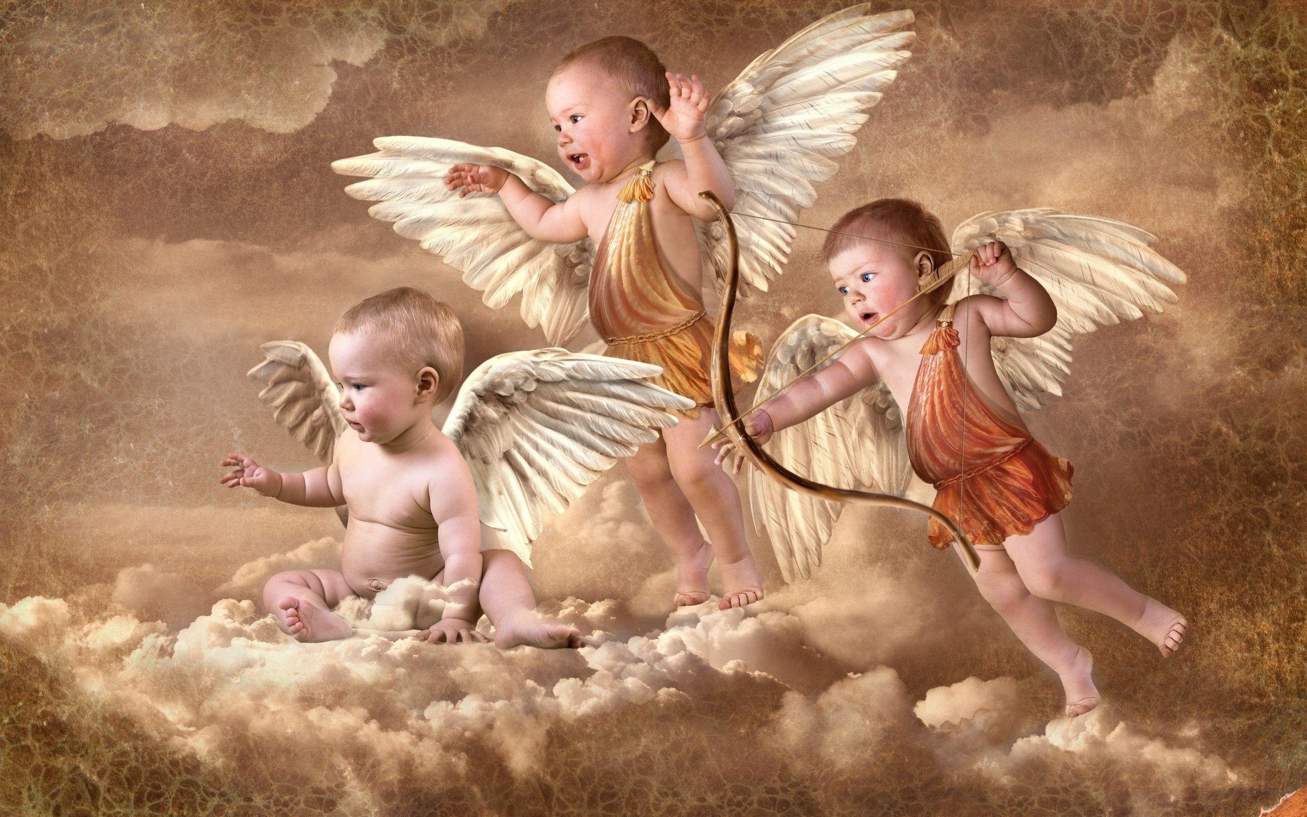 Baby cupid with angel wings. All Size Wallpaper