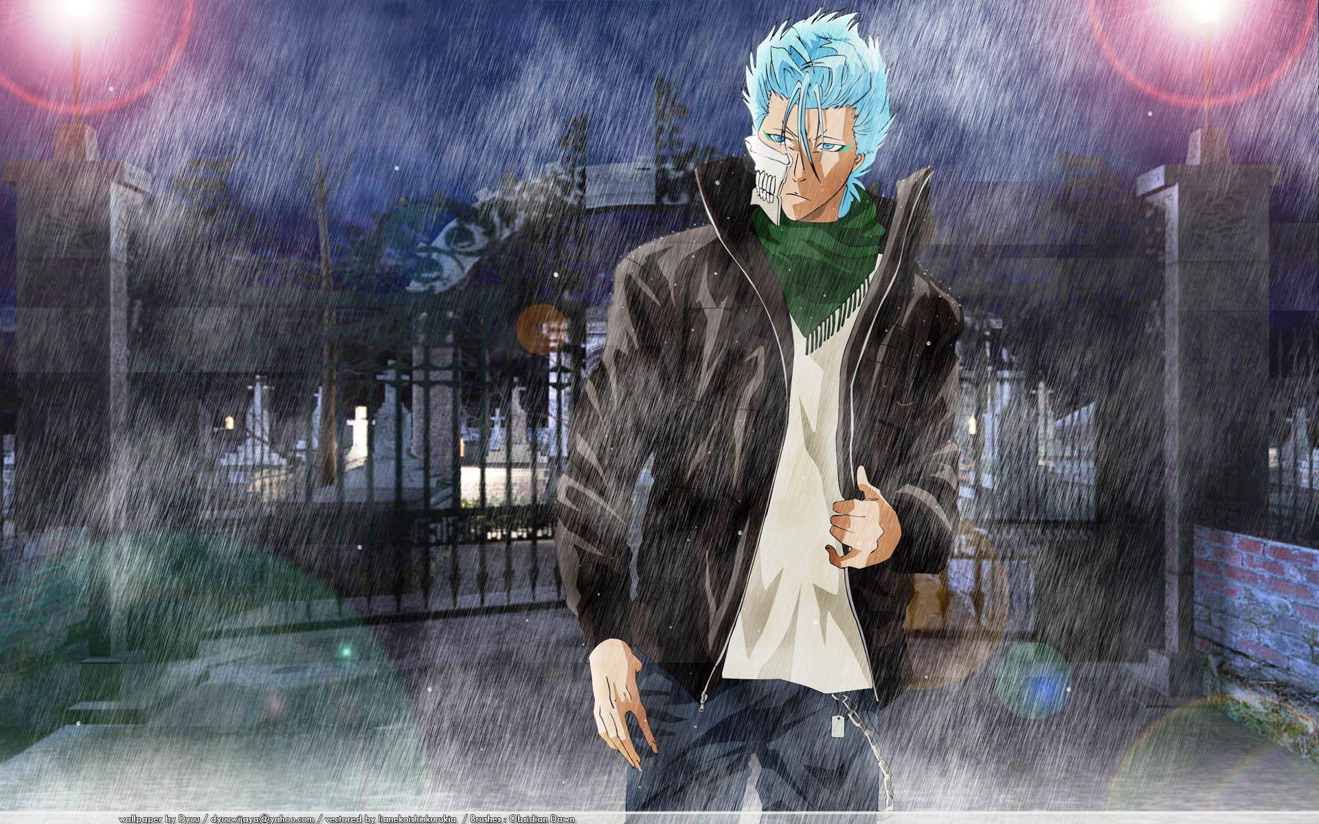 Grimmjow Jeagerjaques Wallpaper