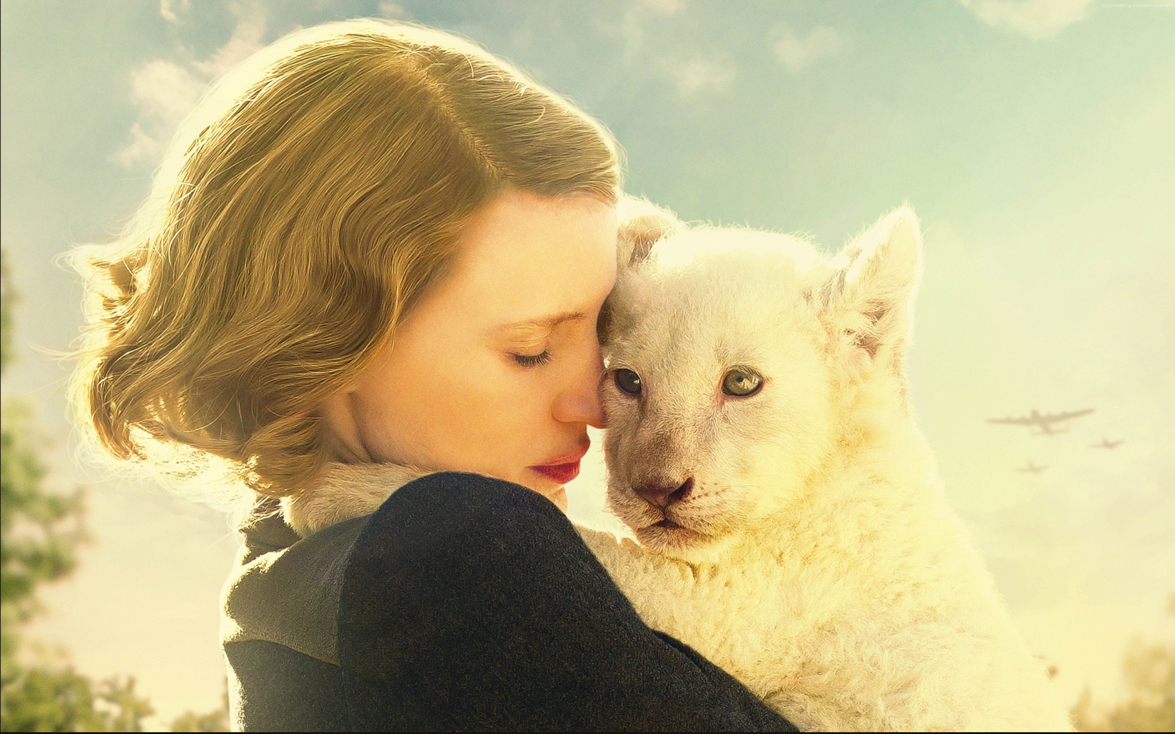 Wallpaper The Zookeeper's Wife, Jessica Chastain, lion, Movies