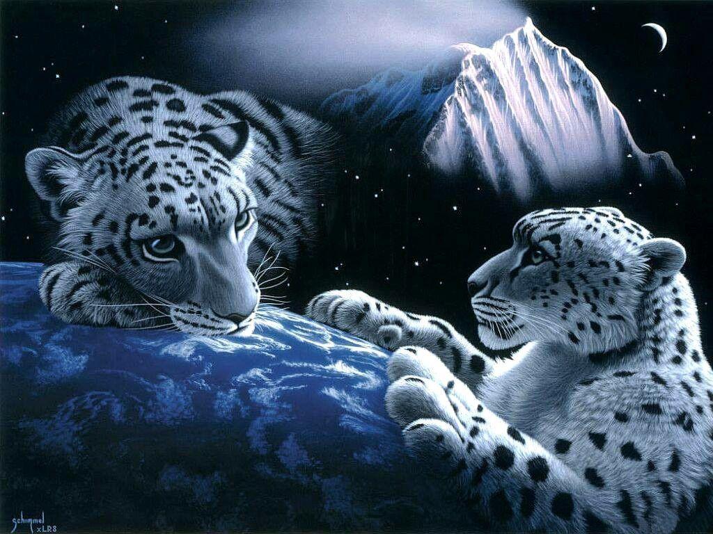 What Would Your Spirit Animal Be?. Tigers, Animal and Fantasy art