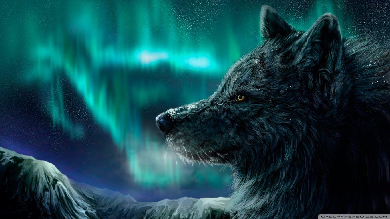 Other: Baby Greywolf Companion Spirit Animal Wallpaper High