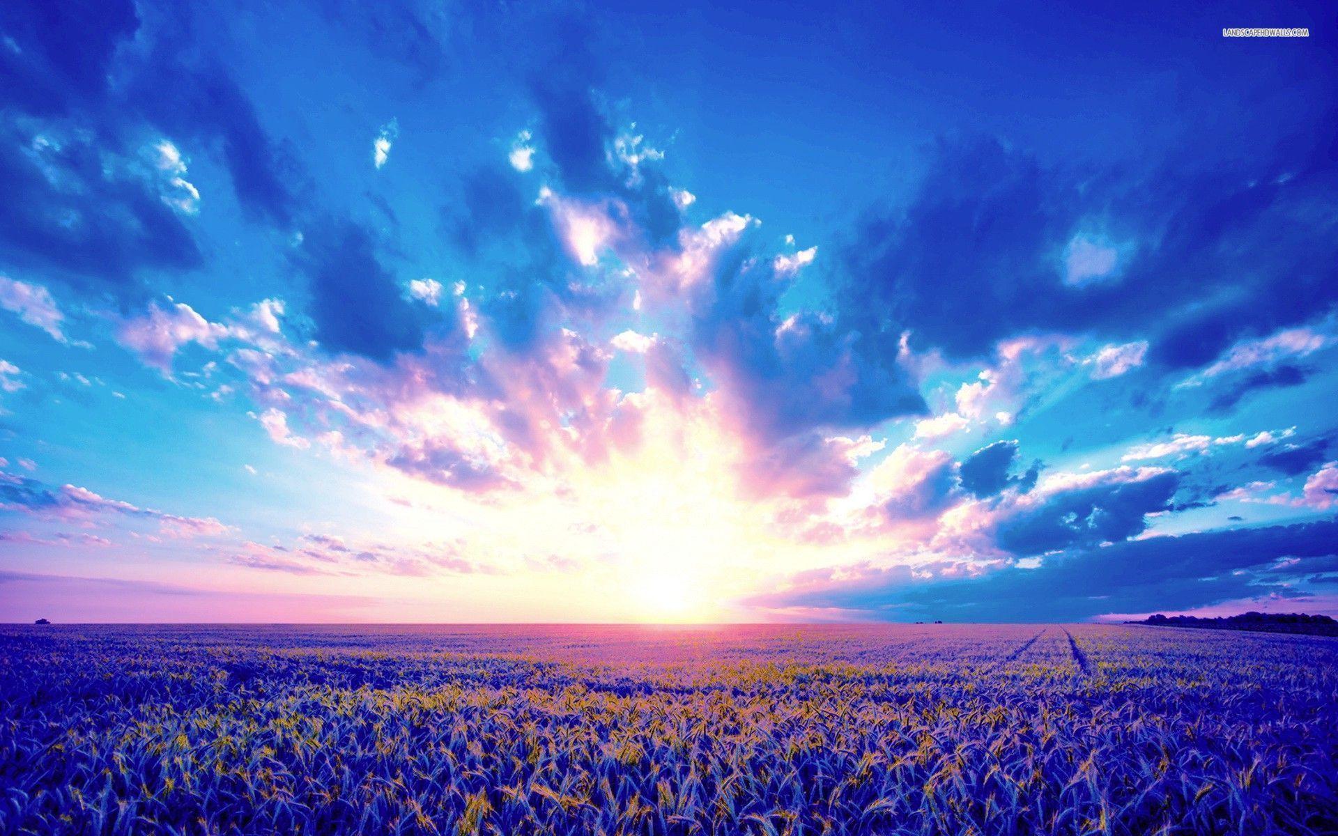Wheat Field & Purple Sunrise wallpaper. Wheat Field & Purple