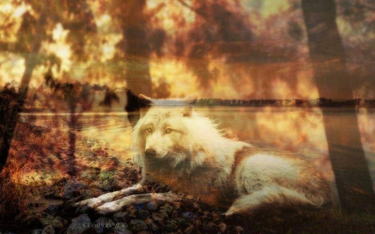 Other Animals American White Spiritual Wolf River Native Spirit