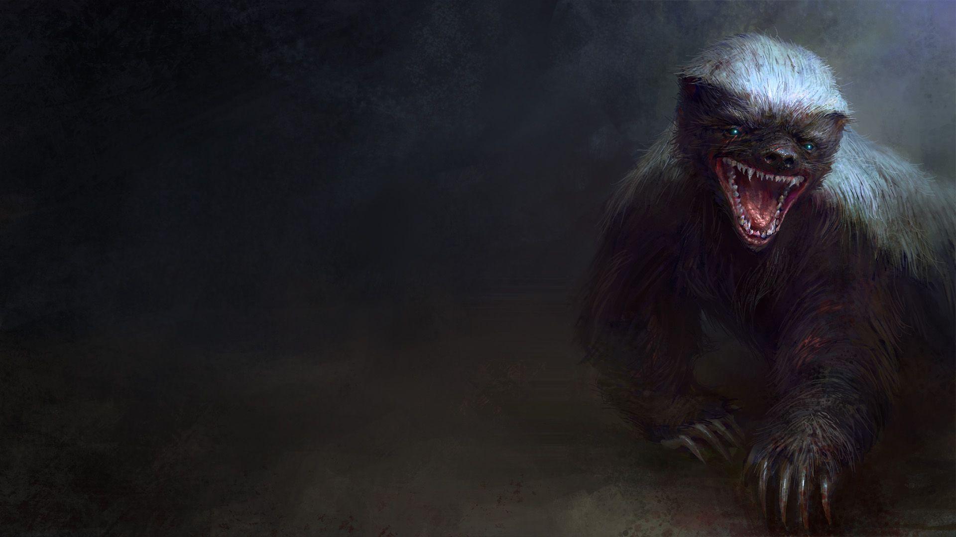 Badger Wallpapers - Wallpaper Cave