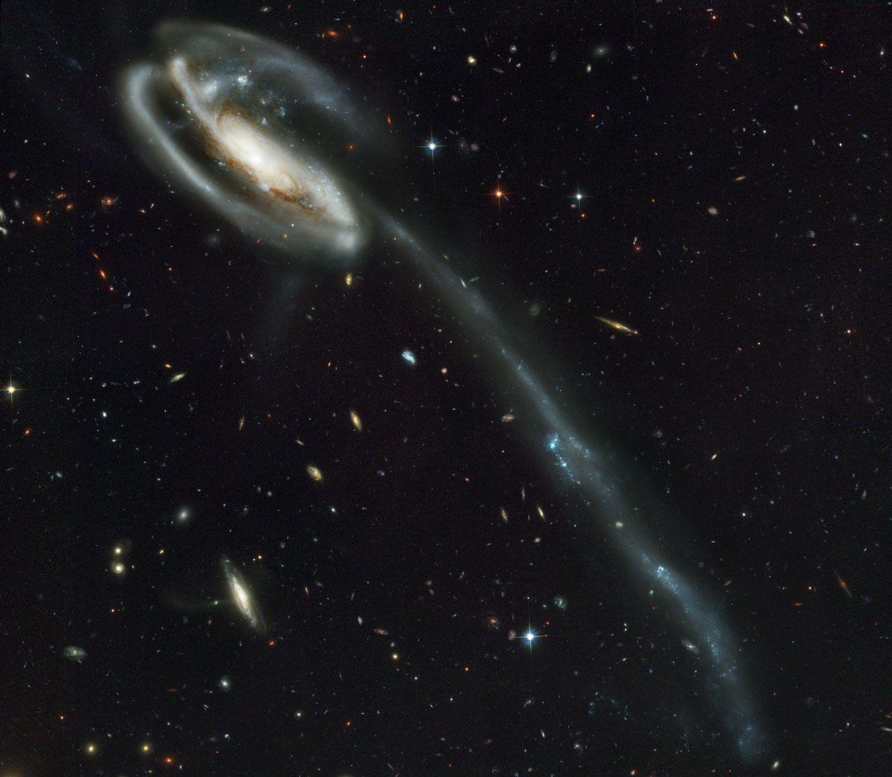 A 'wallpaper' of distant galaxies is a stunning backdrop