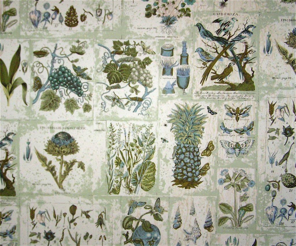 Botanical Wallpapers - Wallpaper Cave