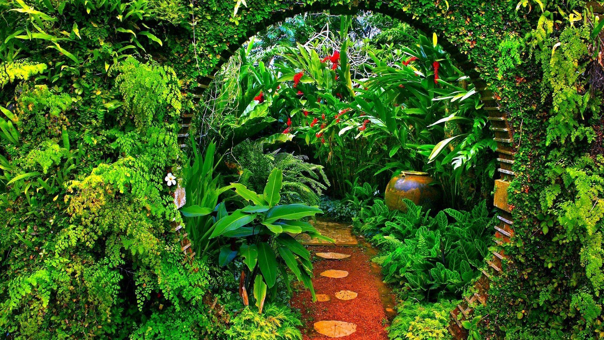 Forest: Jungle Bow Botanical Garden Plants Path Green Amazon