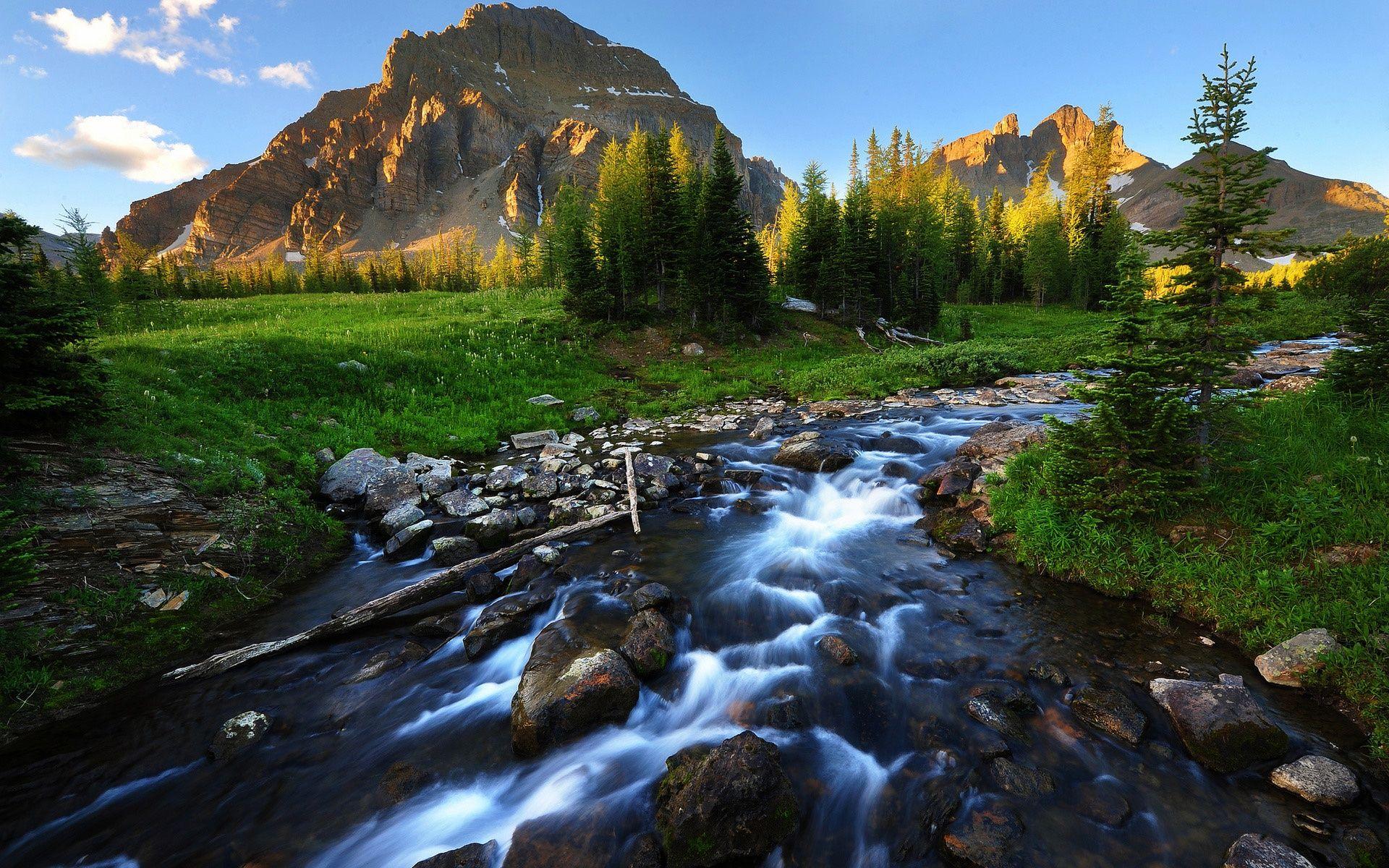 Beautiful Stream Wallpaper. Free Photo Download For Android
