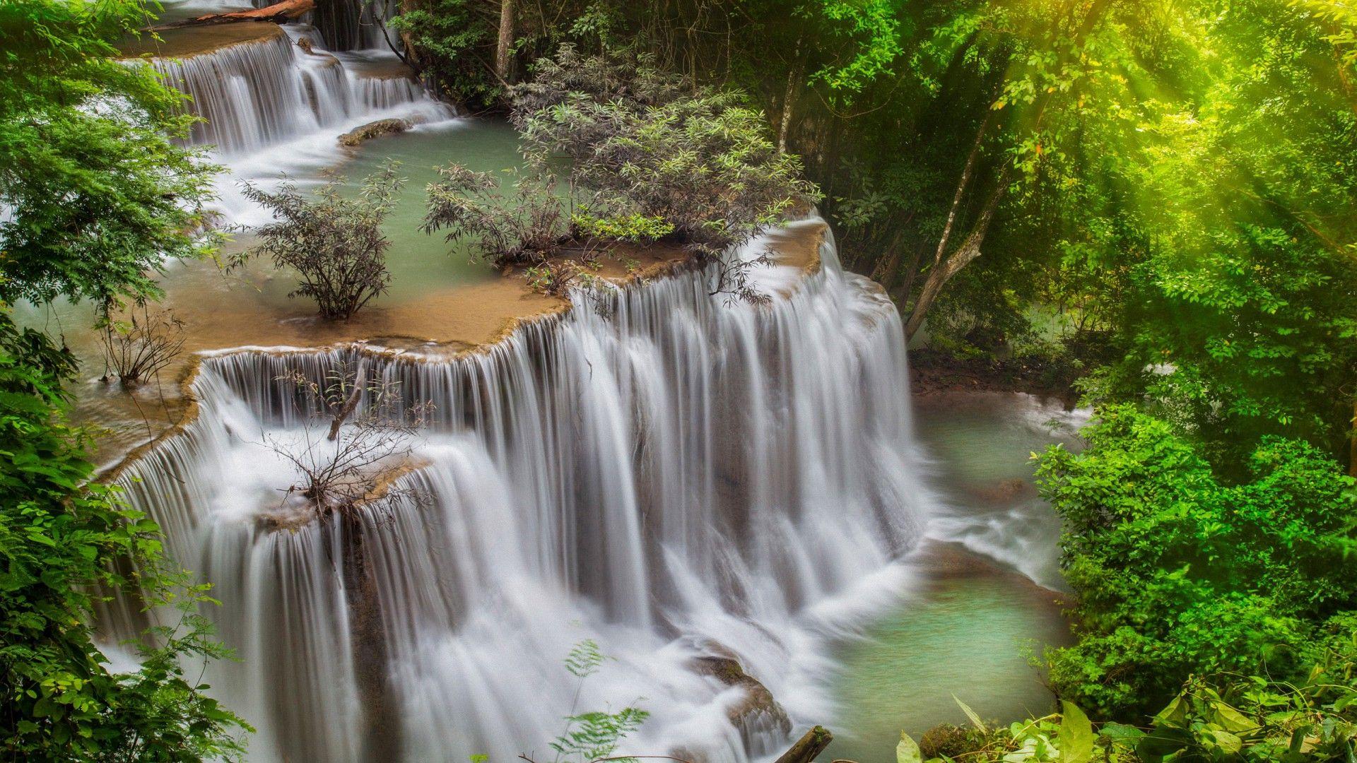 Forest Tree Waterfall Streams Wallpaper HD Background