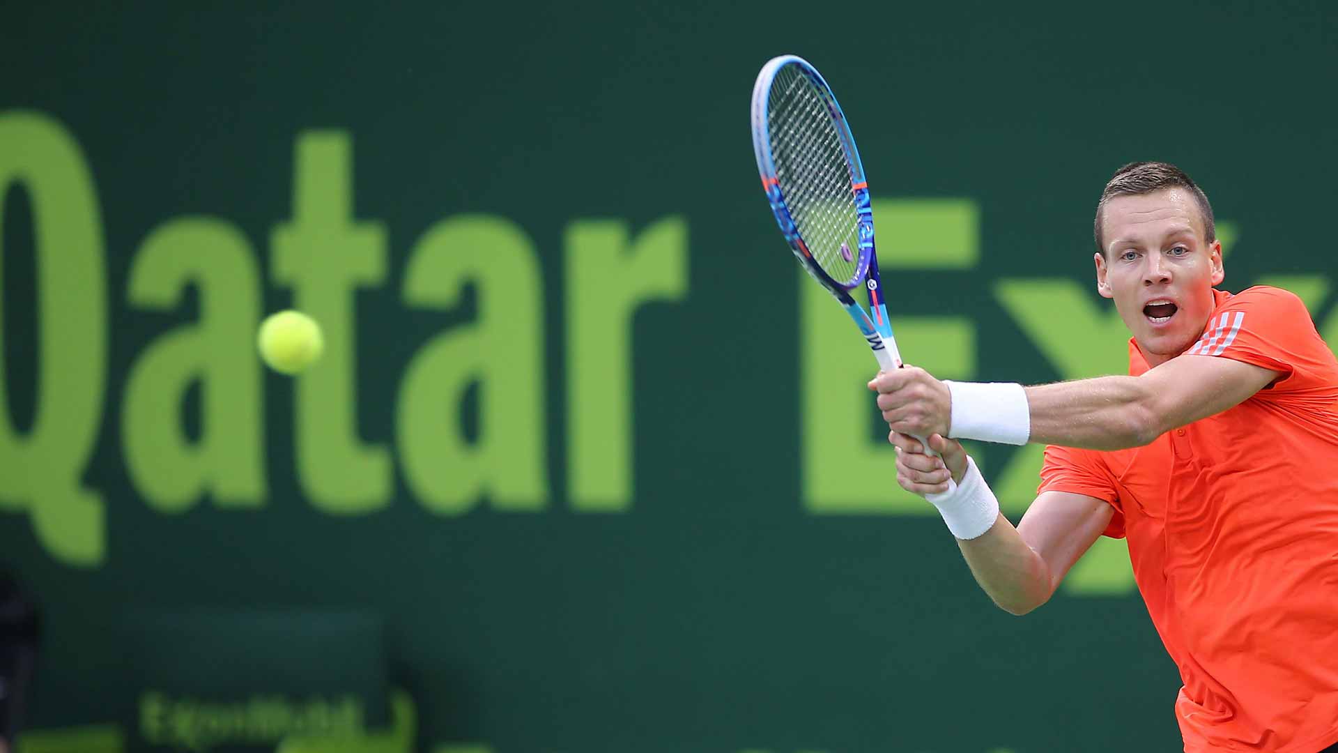 Tomáš Berdych Wallpapers - Wallpaper Cave