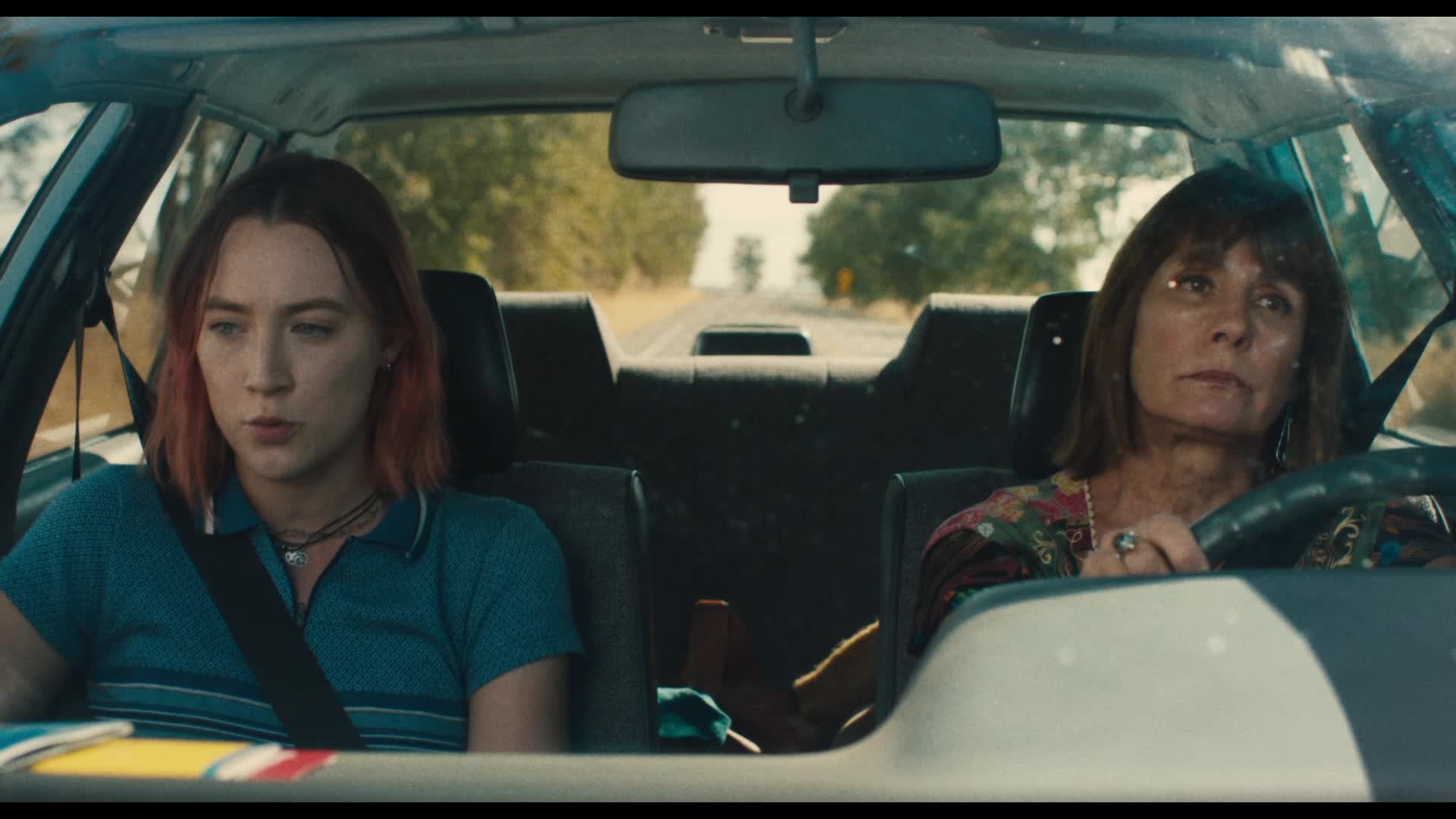 Lady Bird' flies high on wit and empathy. Humanizing The Vacuum