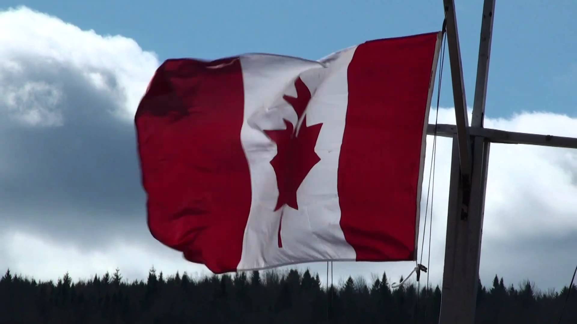 Canadian Flag Waving in the Fall Countryside Wind on the Lake