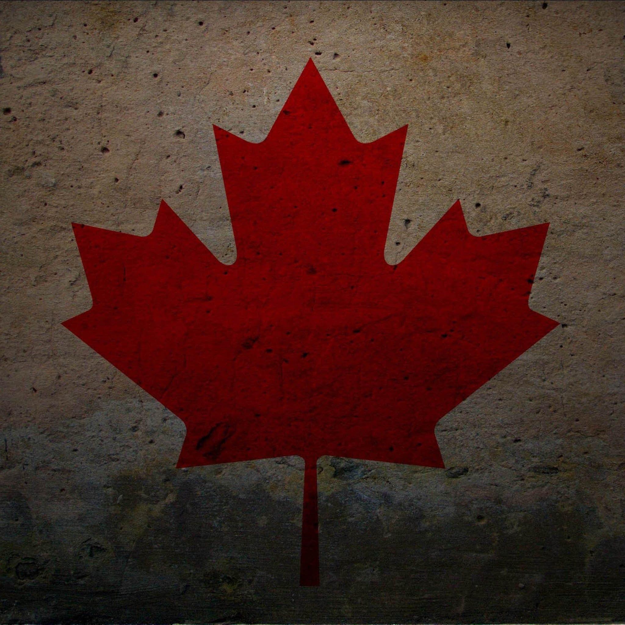 grunge flag of canada 2048x2048 ipad wallpaper and background