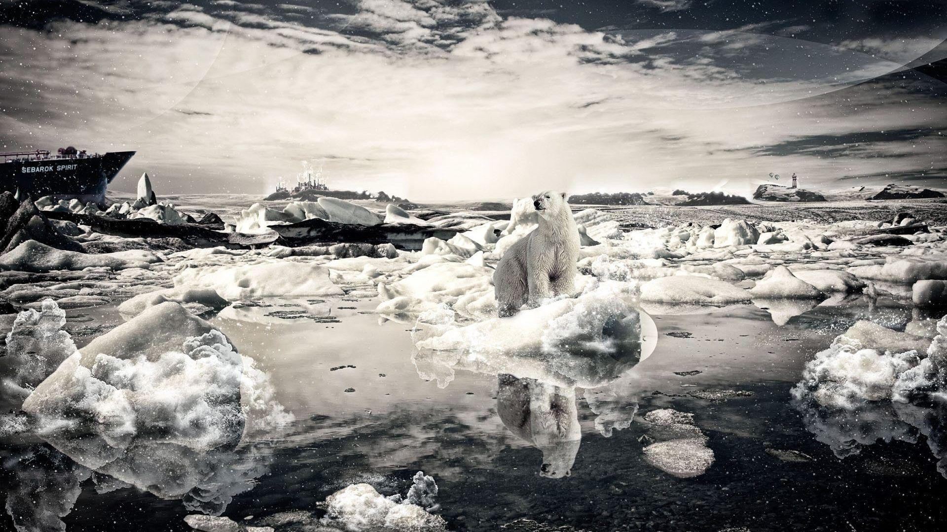 Bears: Warming Bear Ice Melt Global Polar Survival Bears Desktop