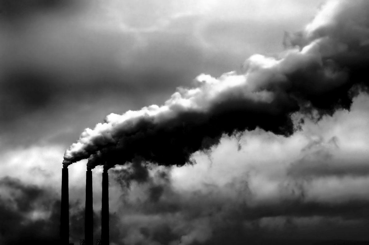 Wallpaper To Image: Possible Solutions To Global Warming