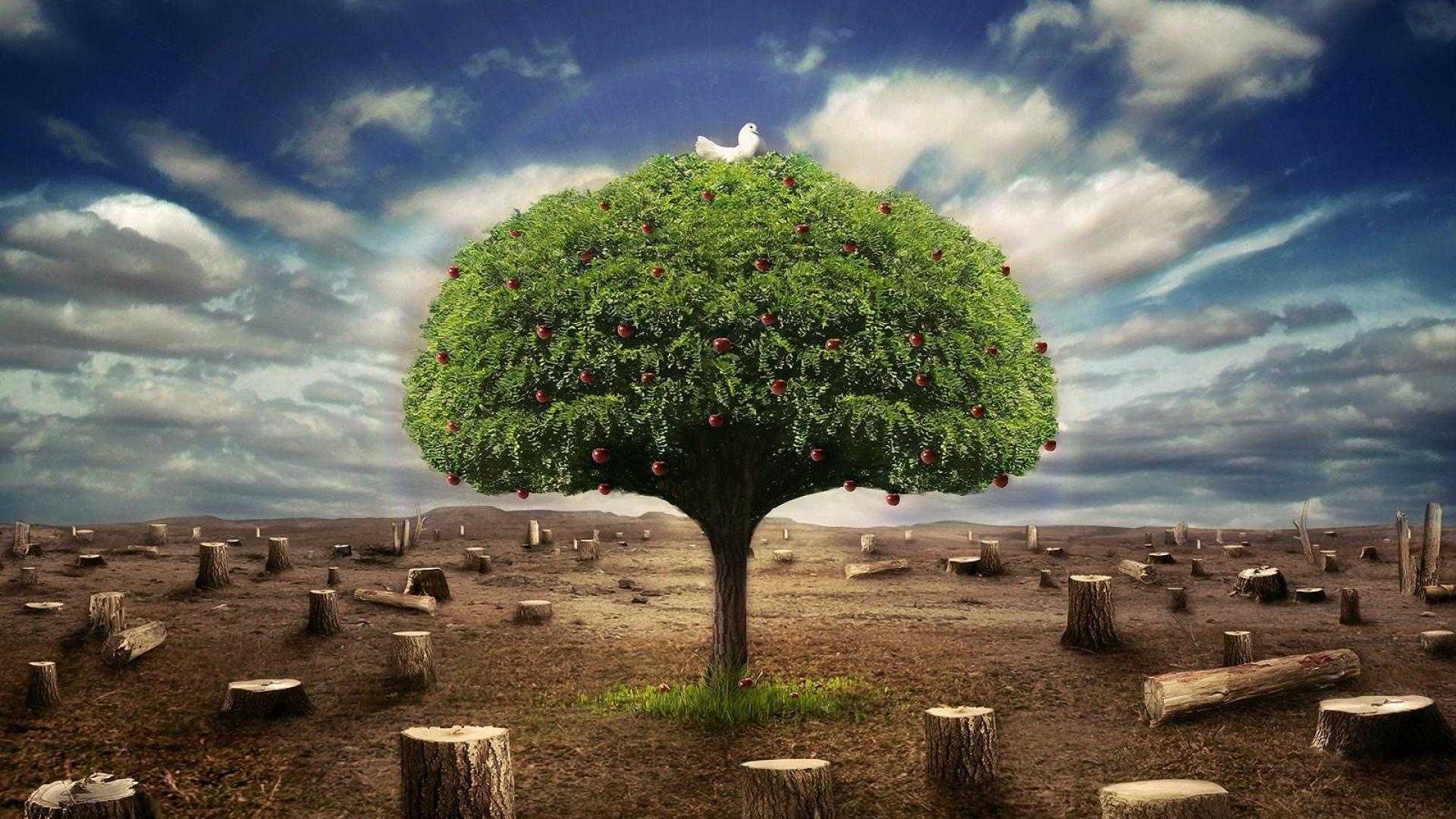 Tree Nature 3D Picture HD Wallpaper of Nature