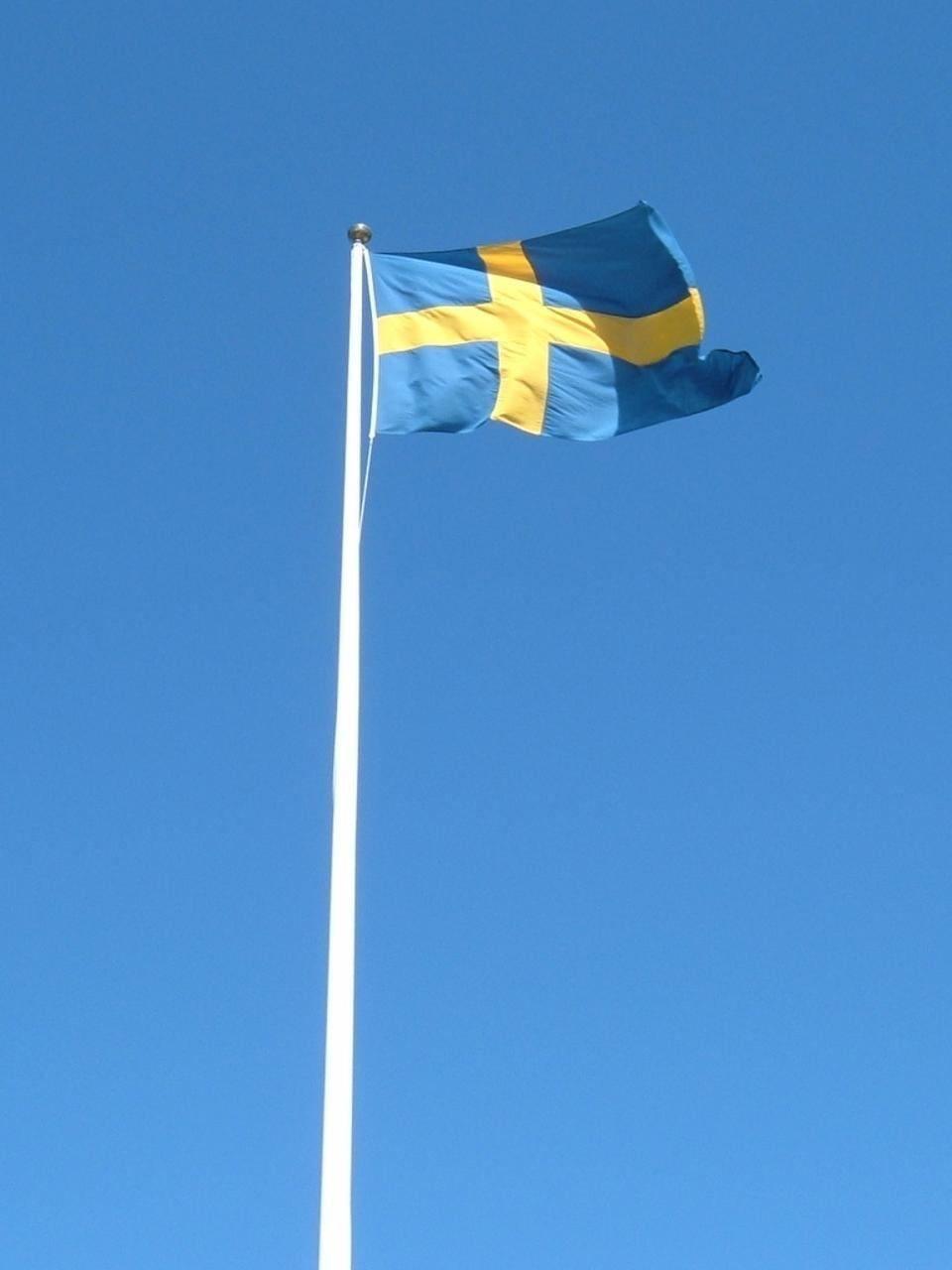 Free picture: Swedish flag, mast