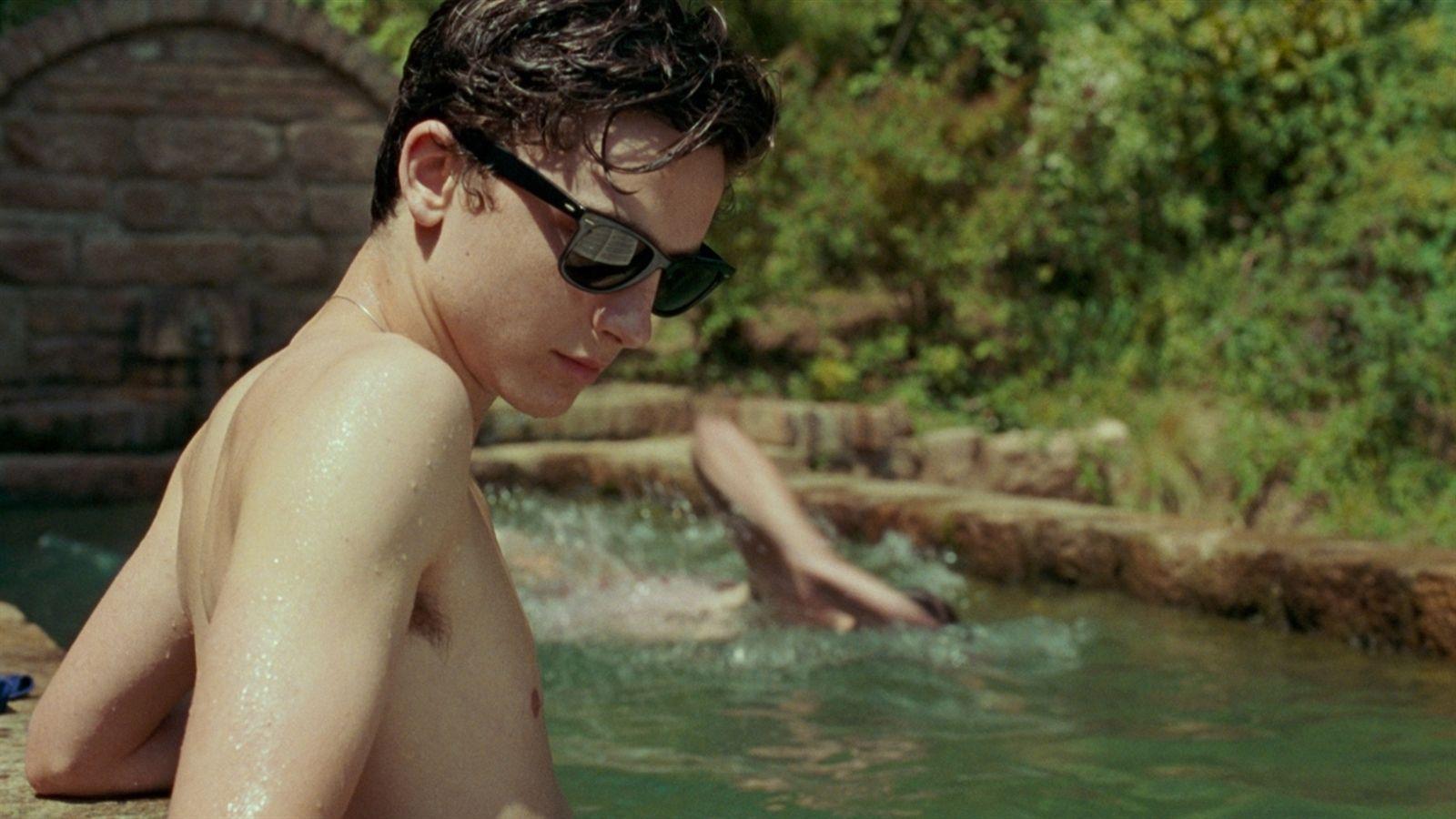 Call Me By Your Name. Palm Springs International Film Festival