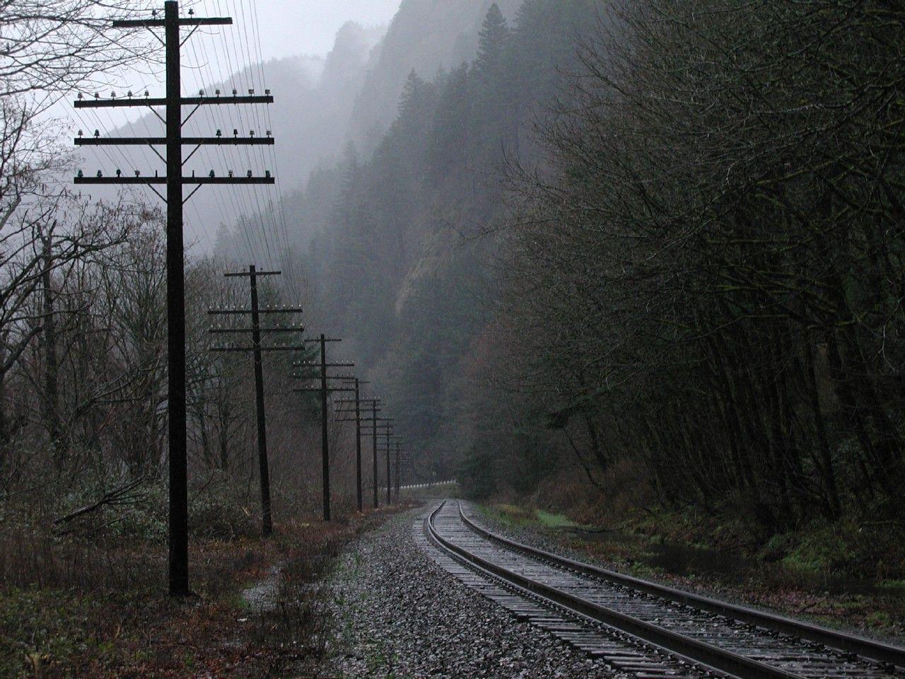 Poles Tag wallpaper: Trees Fog Locomotives Railway Misty Tracks
