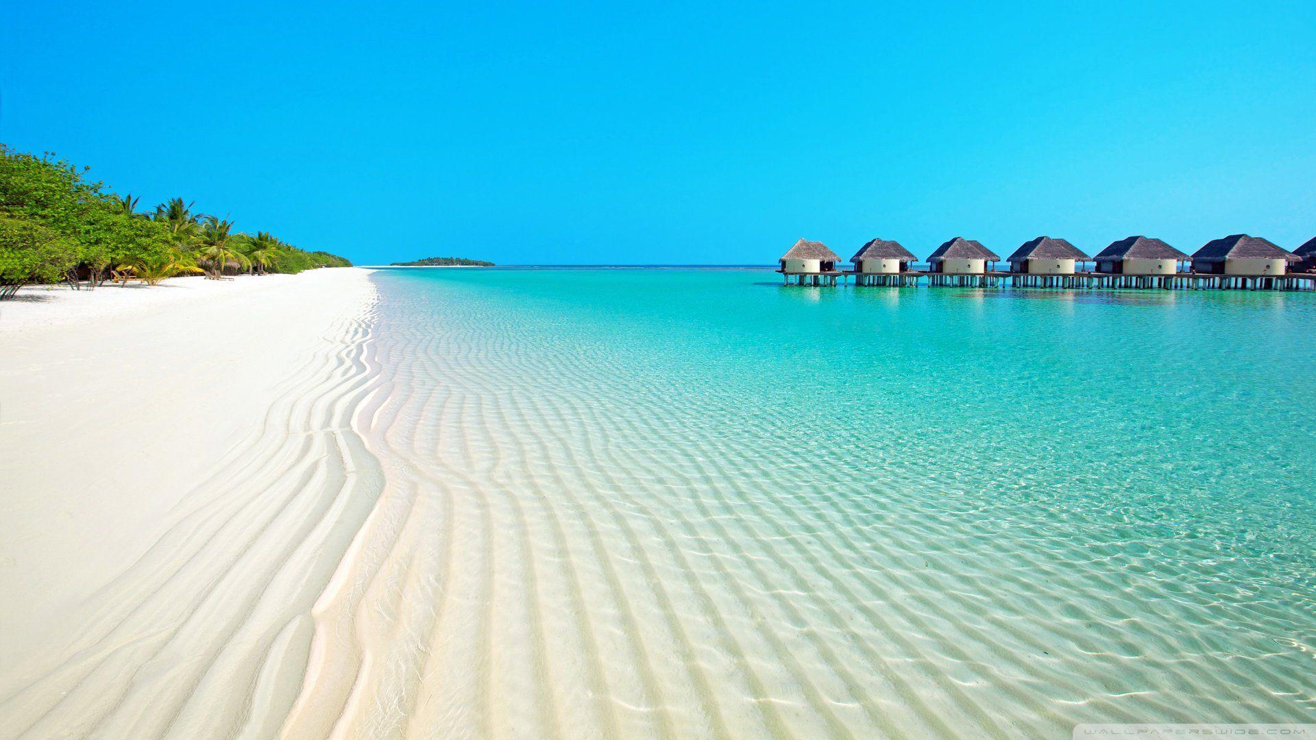 Cottages on the beautiful seashore [Wallpaper]