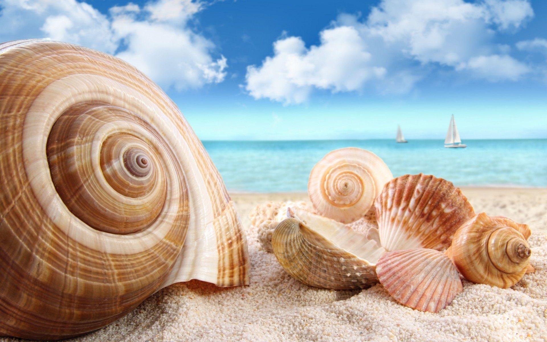 Seashore Wallpaper.com