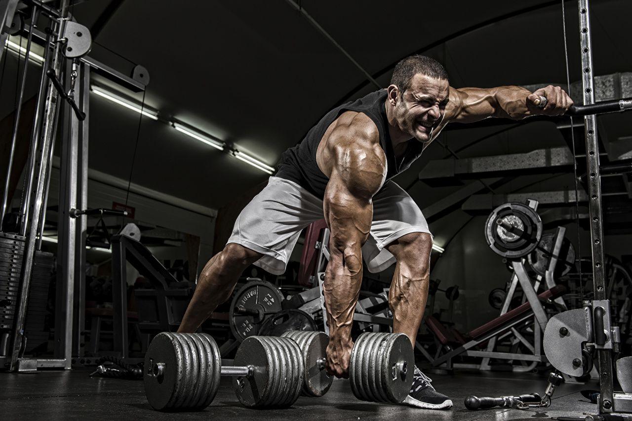 Wallpaper Man Gym Muscle Workout Sport Dumbbells Bodybuilding