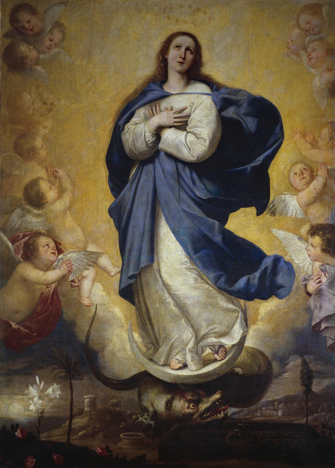 Feast of the Immaculate Conception Wallpaper HD Download