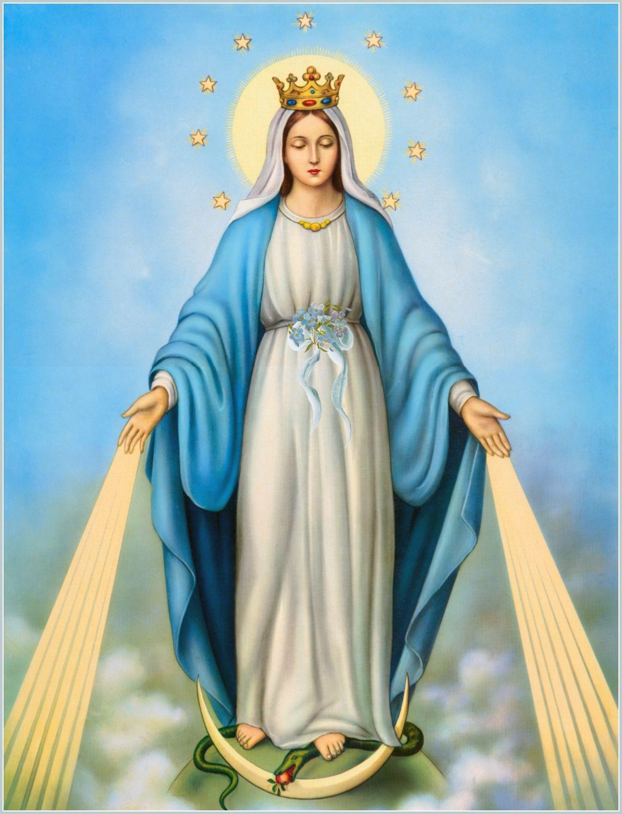 Pope's prayer to Mary, the Immaculate Conception