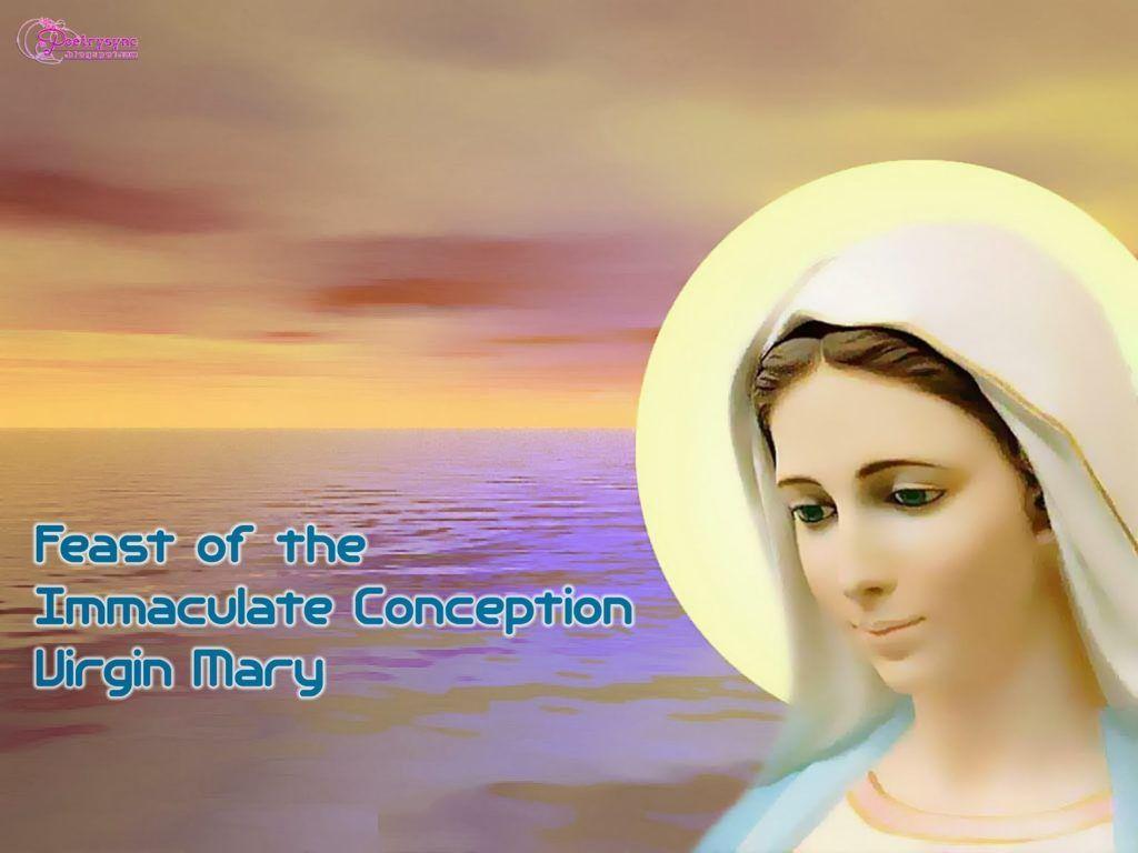 Virgin Mary Picture And Wallpaper Feast Of The Immaculate