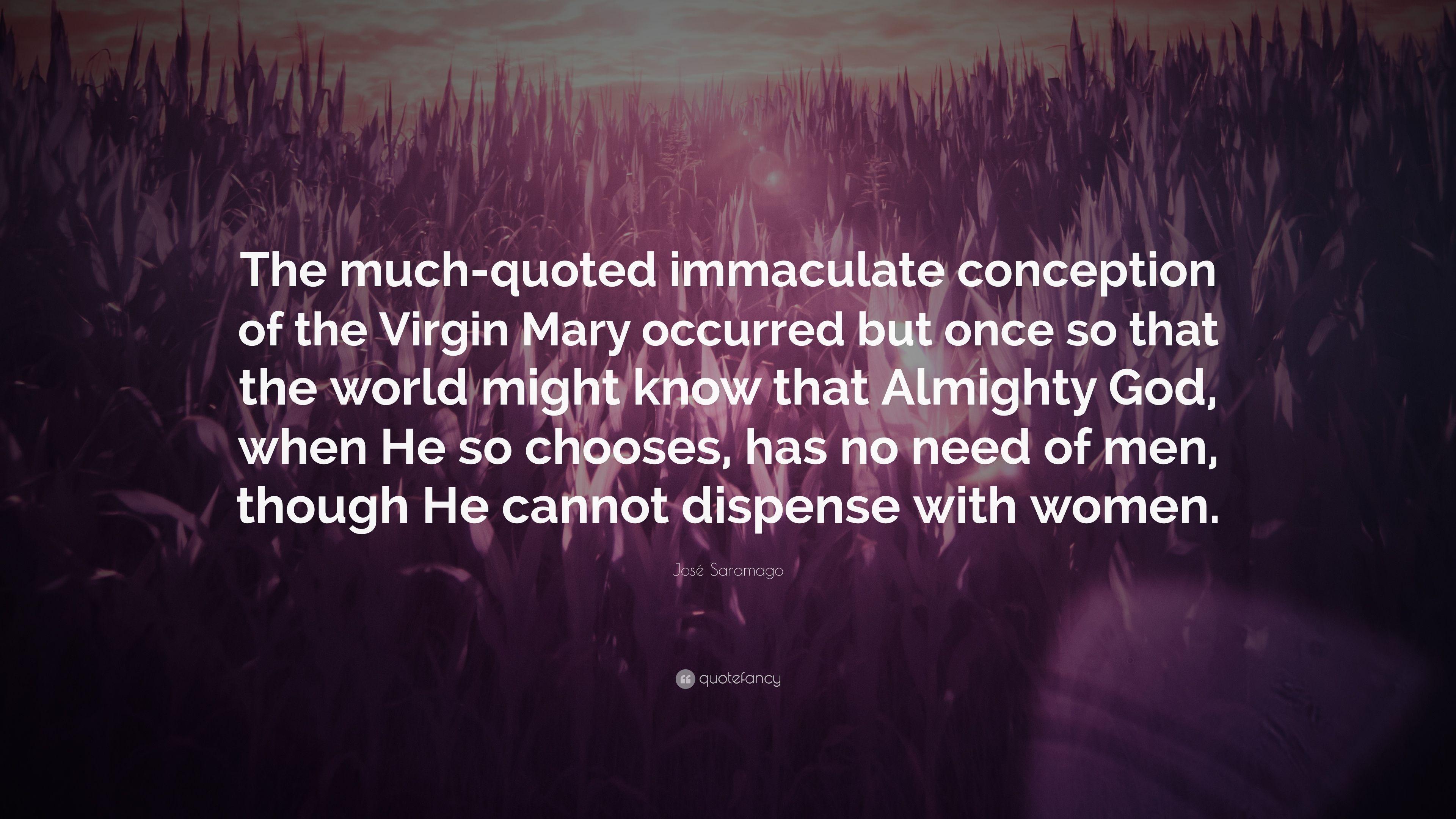 José Saramago Quote: “The Much Quoted Immaculate Conception