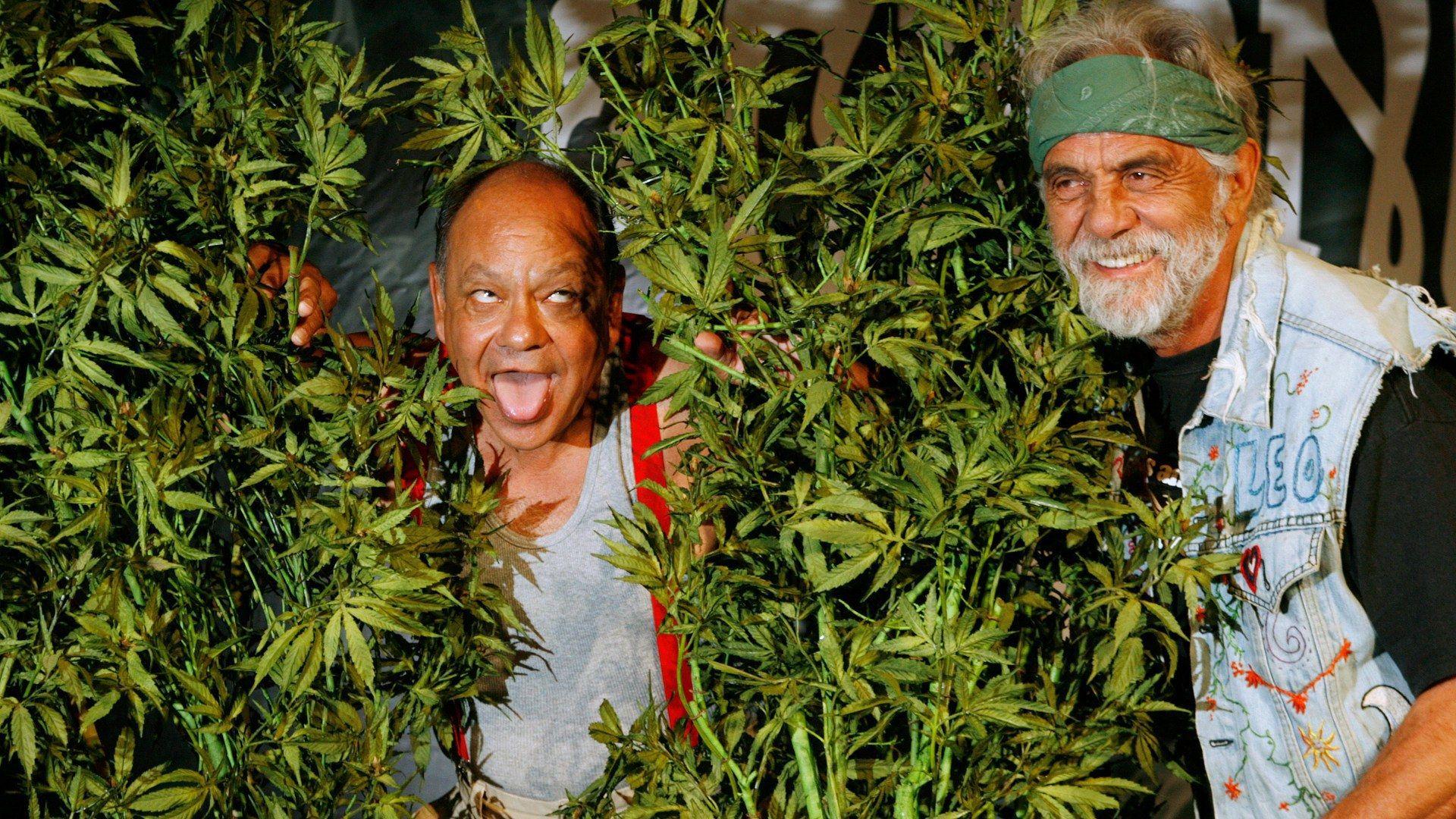 Cheech and Chong Announce First Film Together in Over 30 Years
