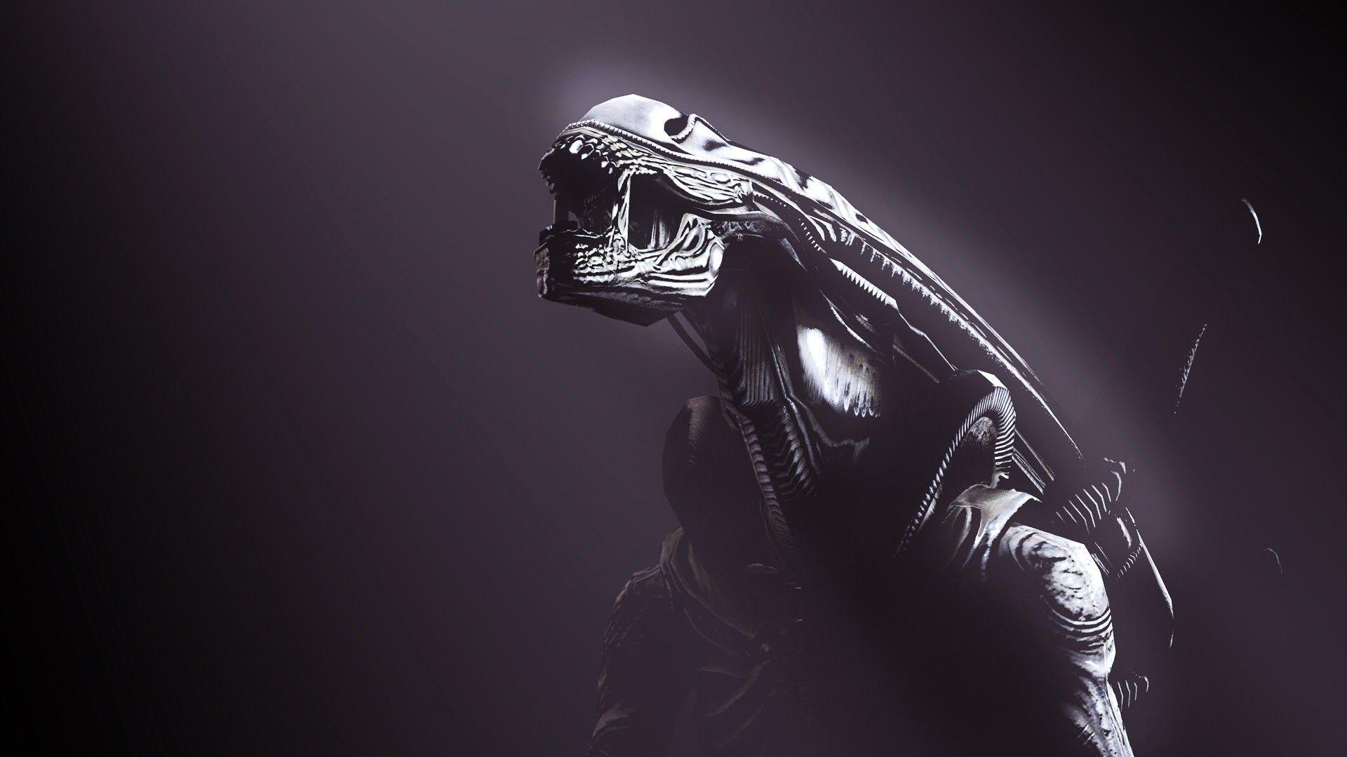 Xenomorph wallpaperDownload free stunning HD background