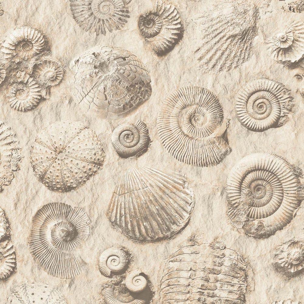 Muriva Fossil Pattern Shell Motif Faux Effect Vinyl Wallpaper J86208