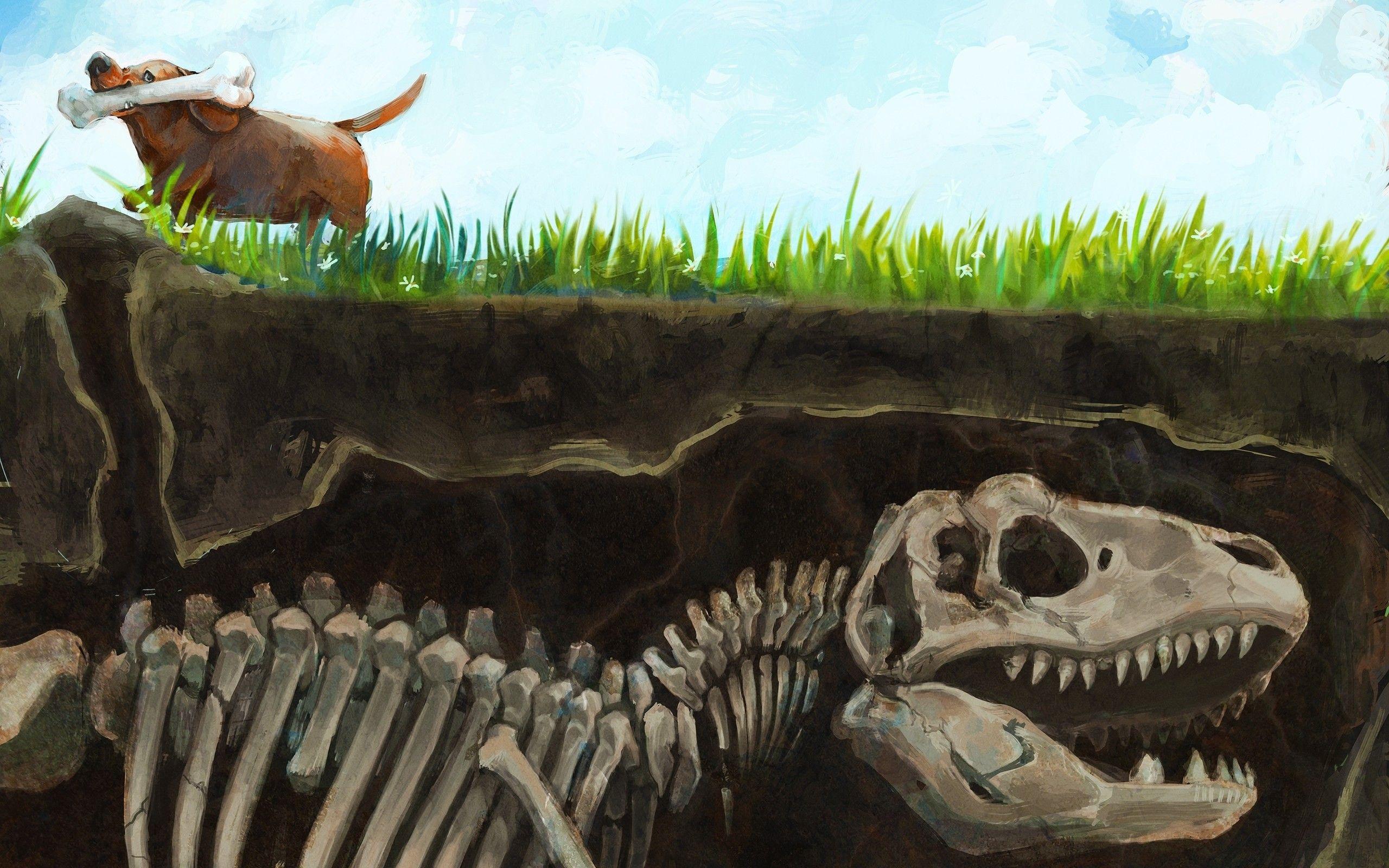 Artwork Bones Dinosaurs Dog Fossil Funny