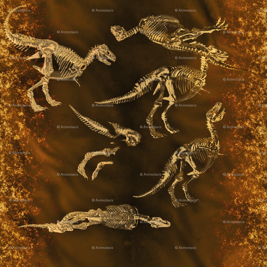 T Rex Fossils, L Wallpaper