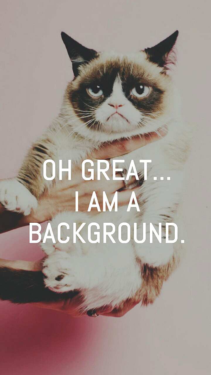 grumpy cat background tumblr